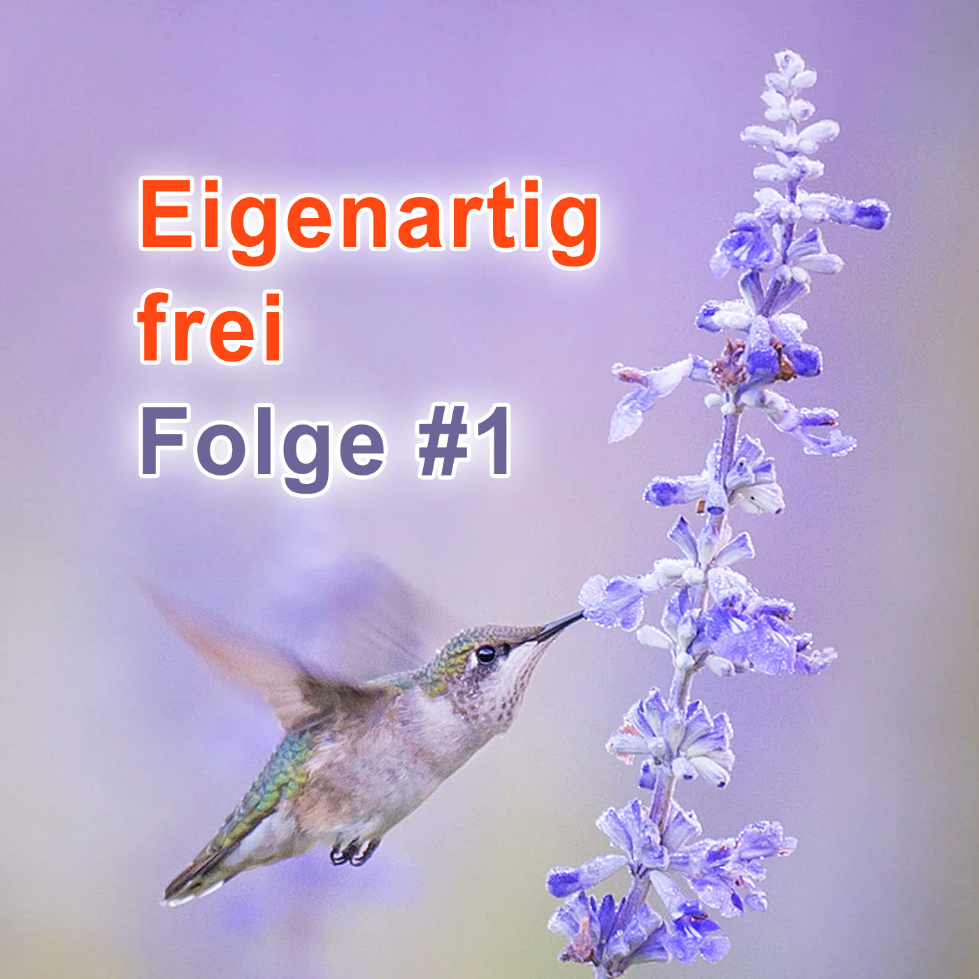 #1 | Pilotfolge: Eigenartig frei episode artwork