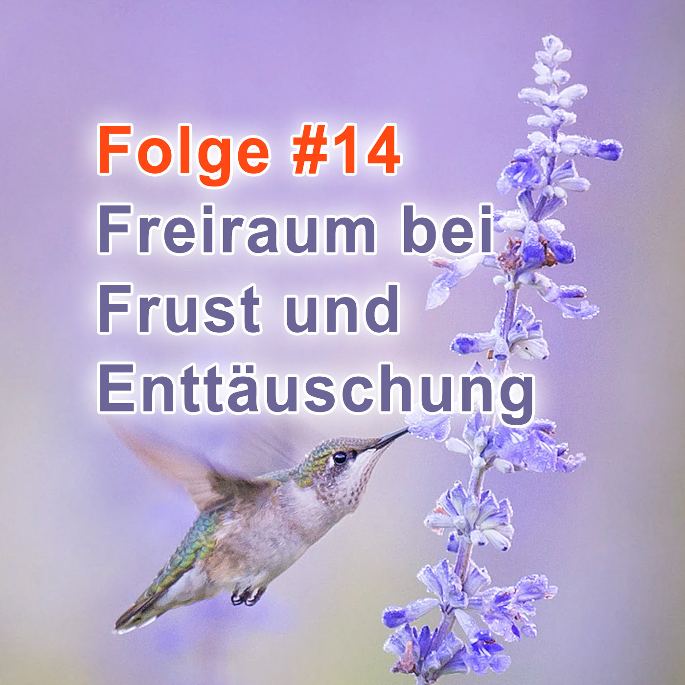 #14 | Freiraum bei Frust und Enttäuschung episode artwork