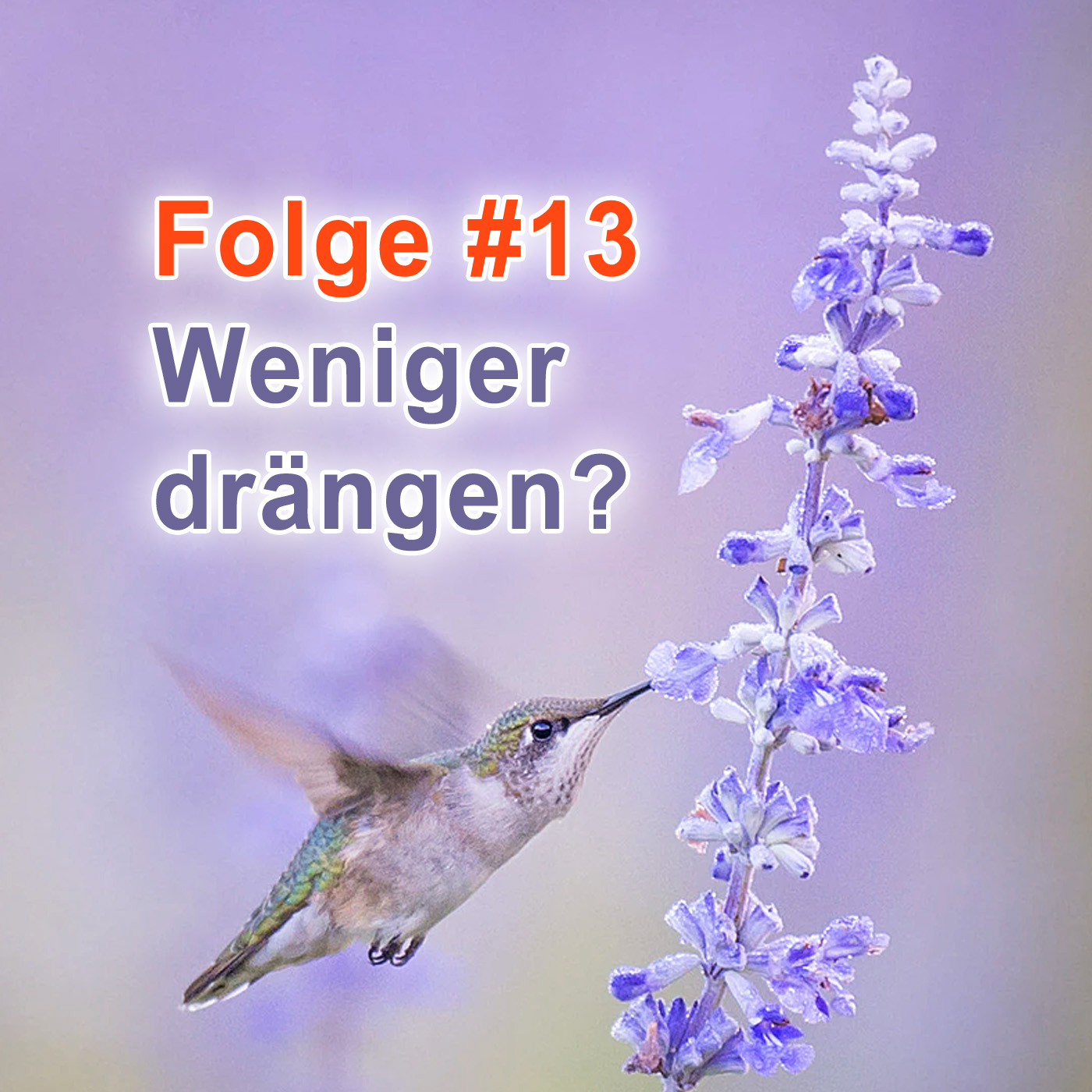#13 | Wie gelingt es mir, weniger zu drängen? episode artwork
