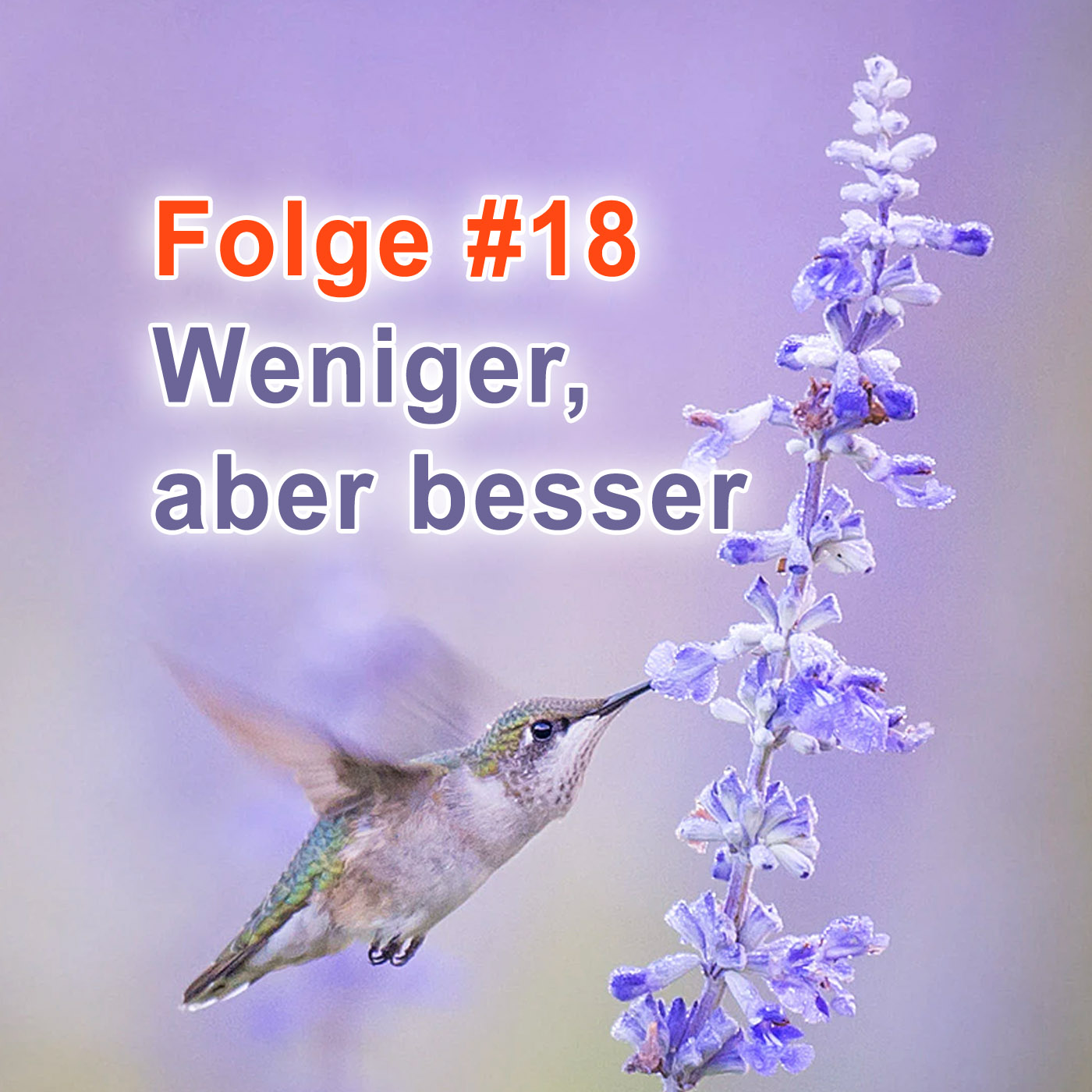 #18 | Freiraum - Basistechnik IV: Weniger, aber besser episode artwork