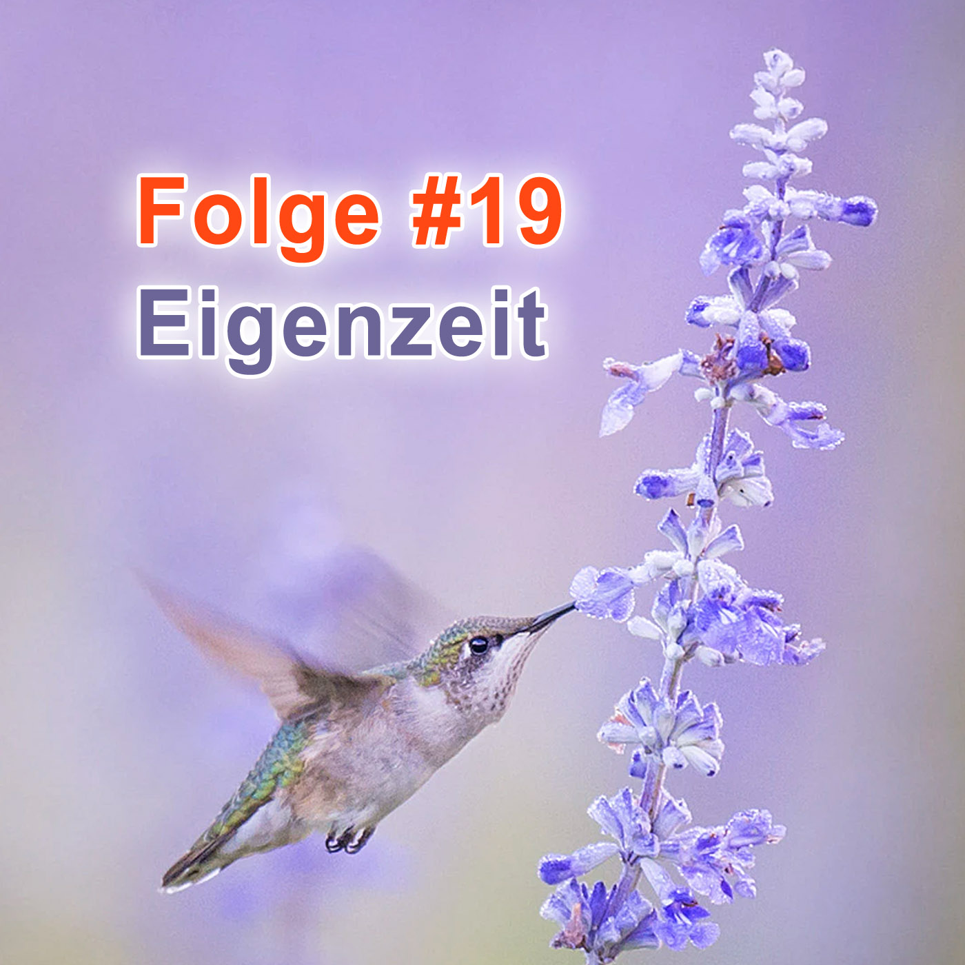 #19 | Eigenzeit episode artwork