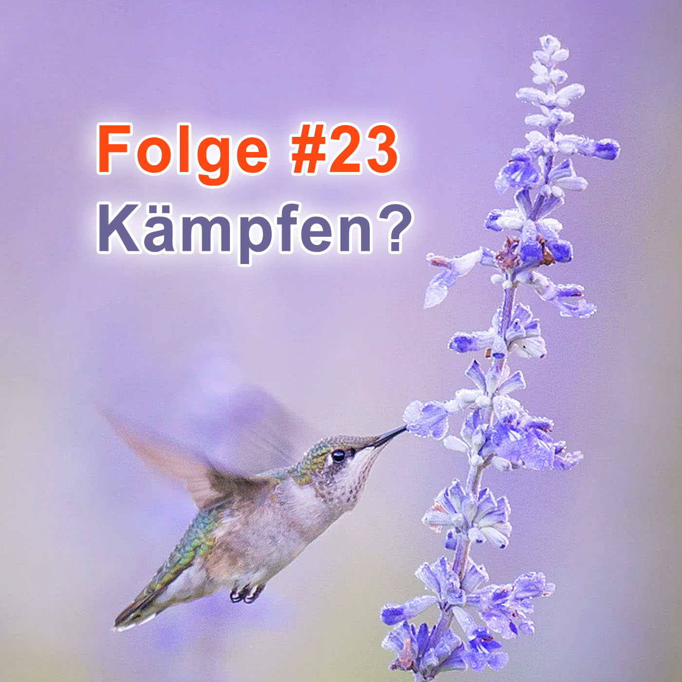 #23 | Wofür es sich zu kämpfen lohnt episode artwork