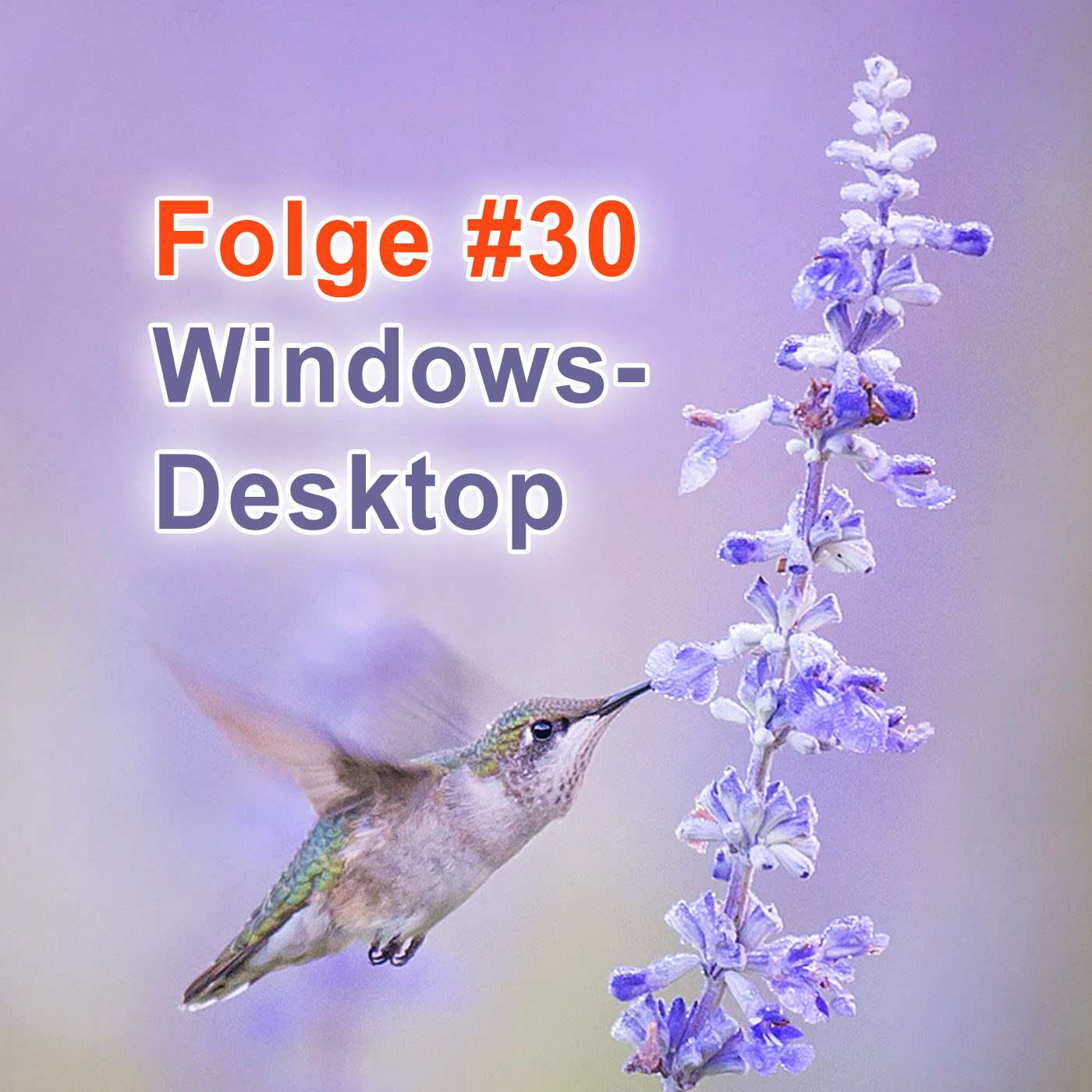 #30 | Den Windows-Desktop aufbohren episode artwork