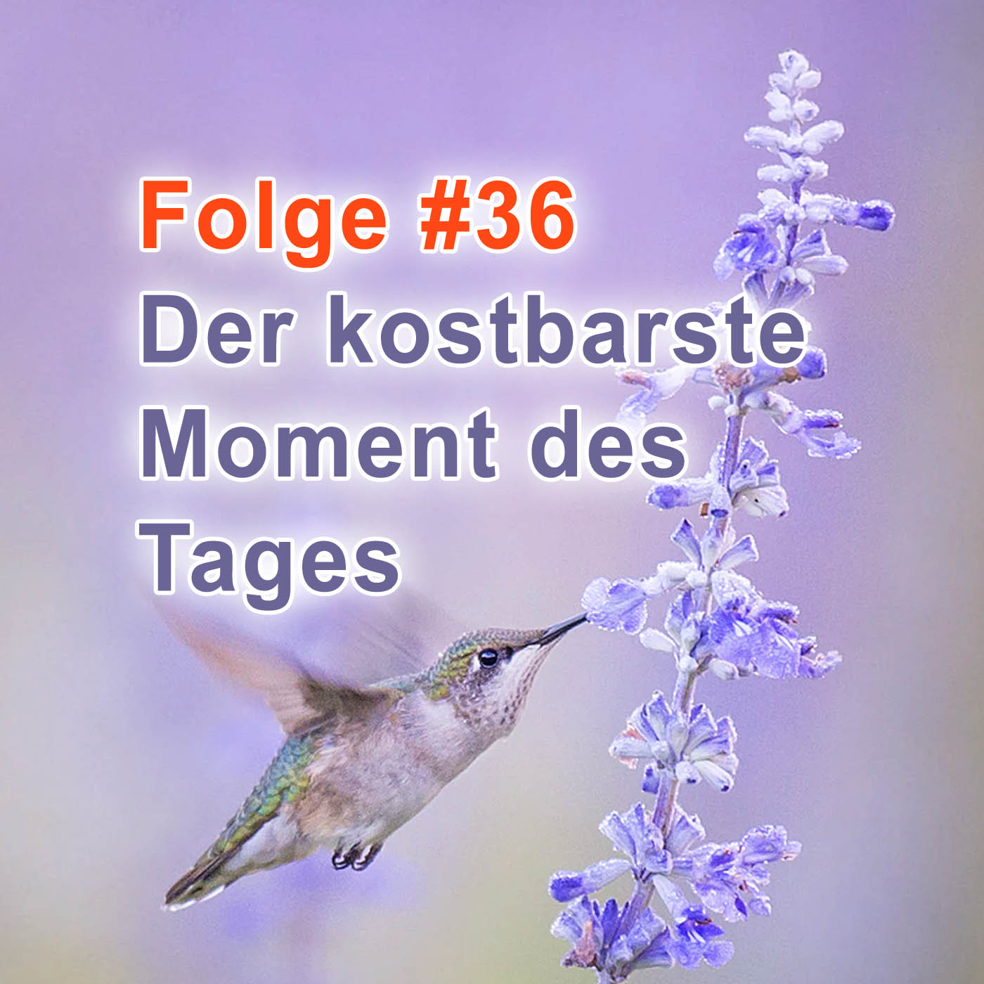 #36 | Der kostbarste Moment des Tages episode artwork