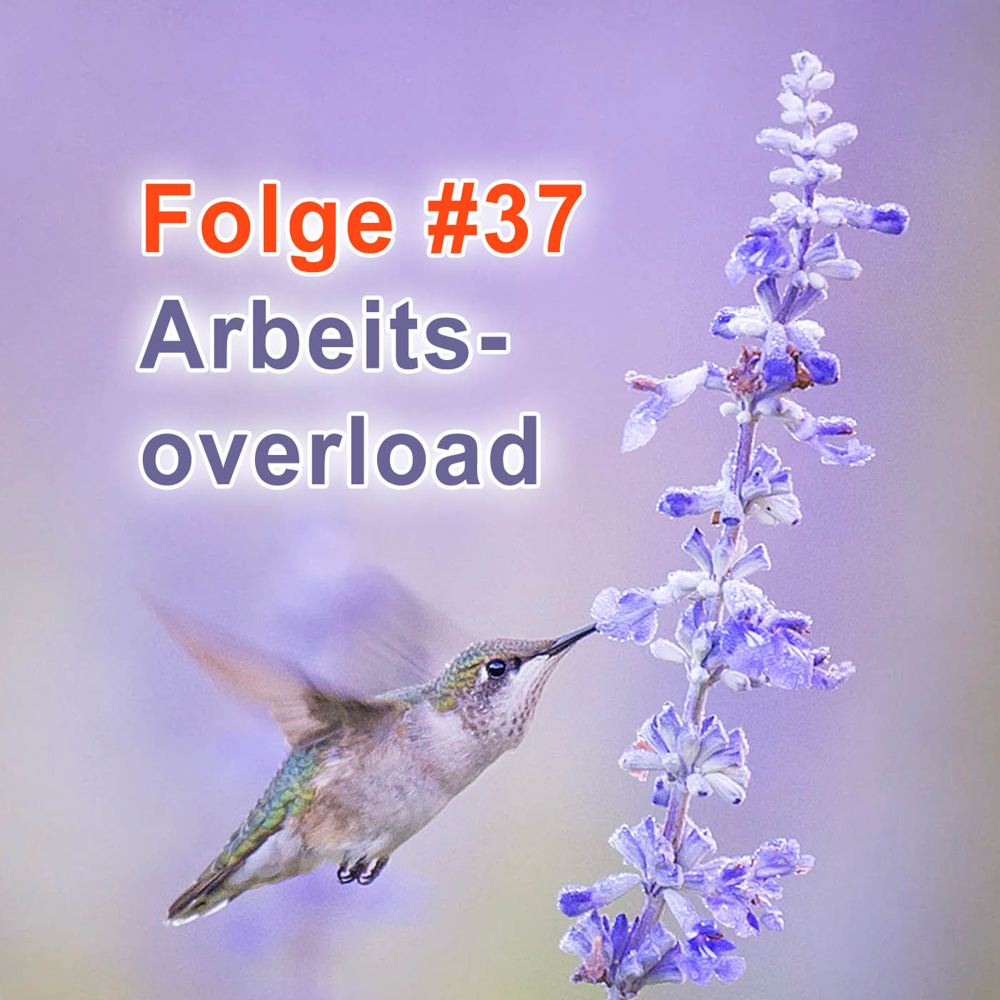 #37 | Vom Arbeitsoverload zum gemütlichen Langzeitlagerfeuer episode artwork