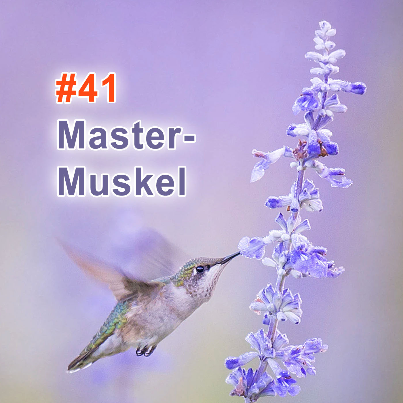 #41 | Der Master-Muskel (KYB V) episode artwork