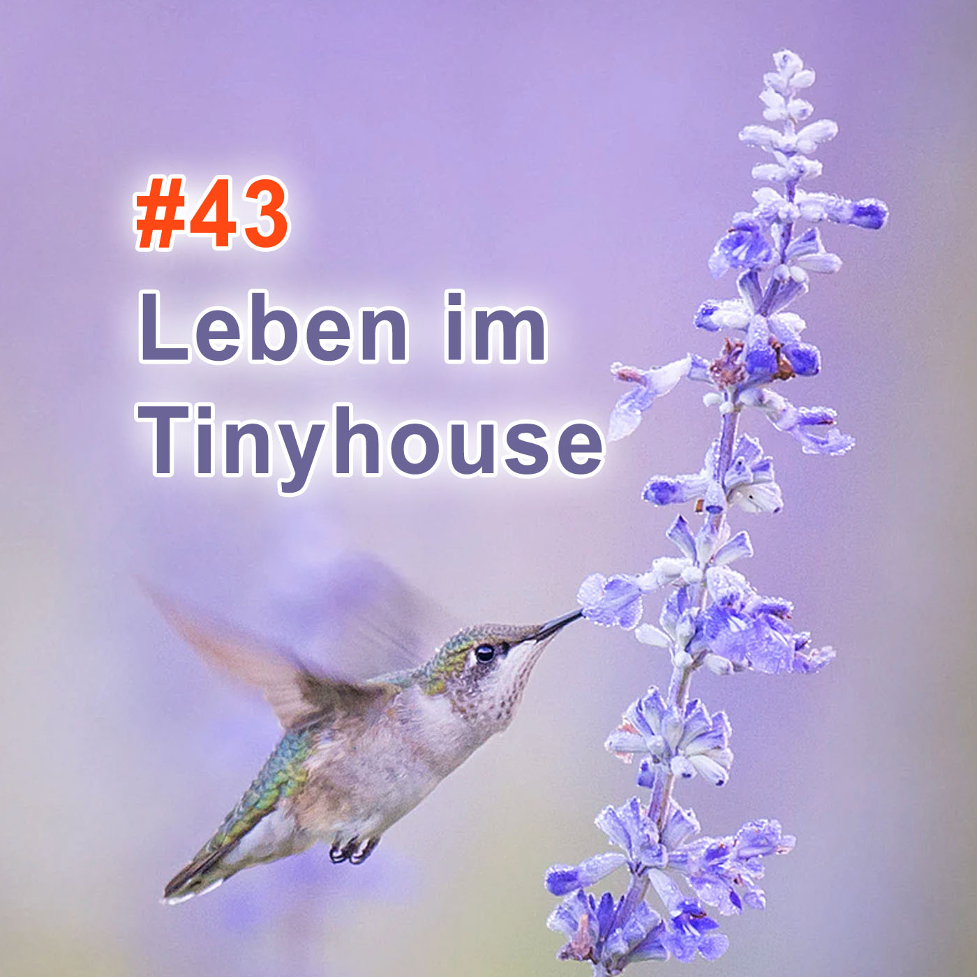 #43 | Leben im Tinyhouse episode artwork