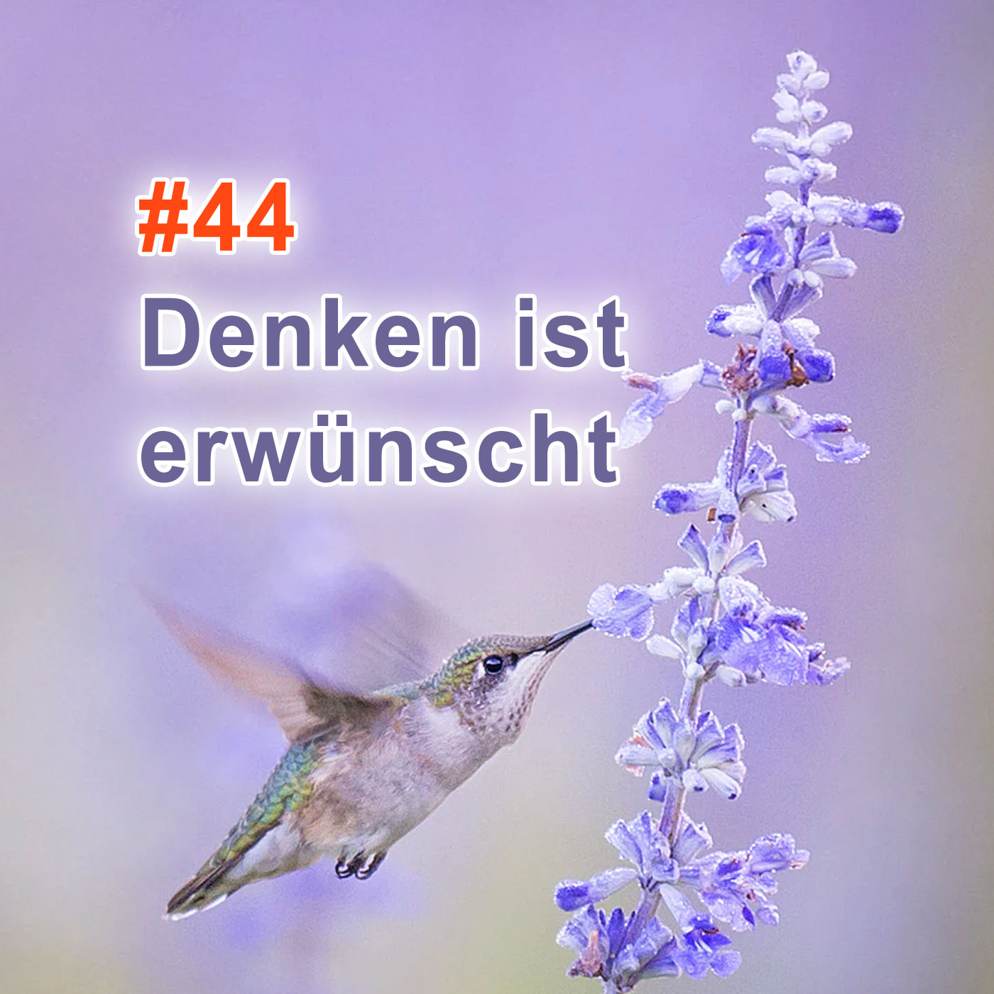 #44 | Denken ist erwünscht episode artwork