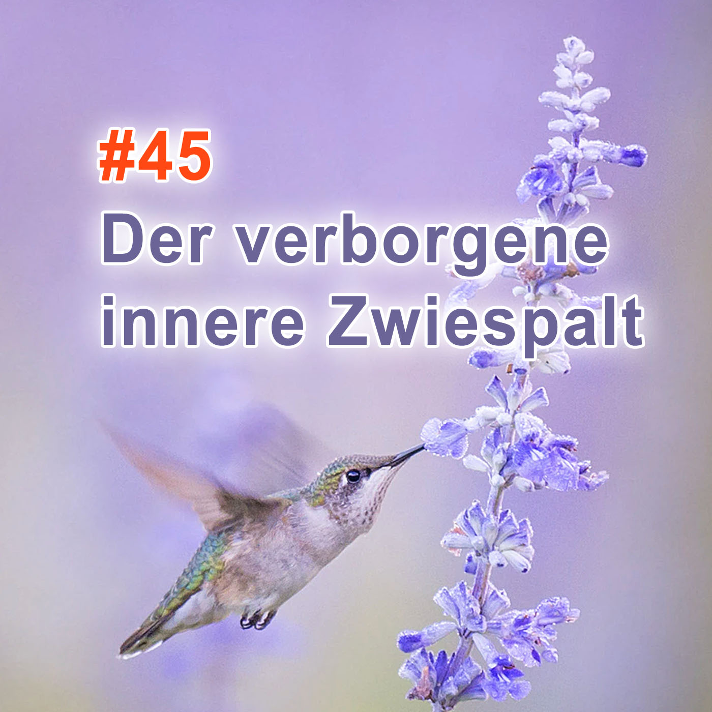 #45 | Der verborgene innere Zwiespalt episode artwork