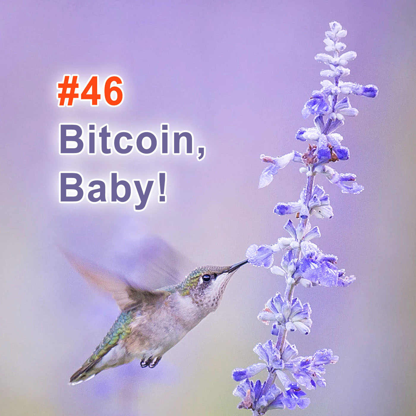 #46 | Bitcoin, Baby! episode artwork