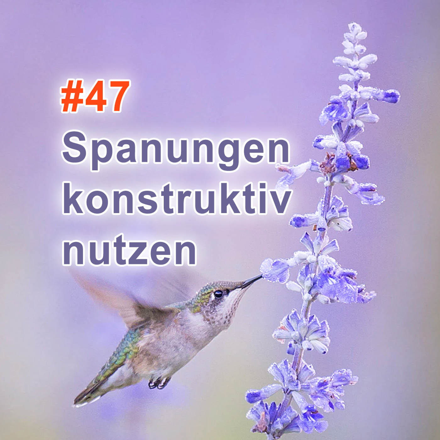 #47 | Spannungen konstruktiv nutzen episode artwork