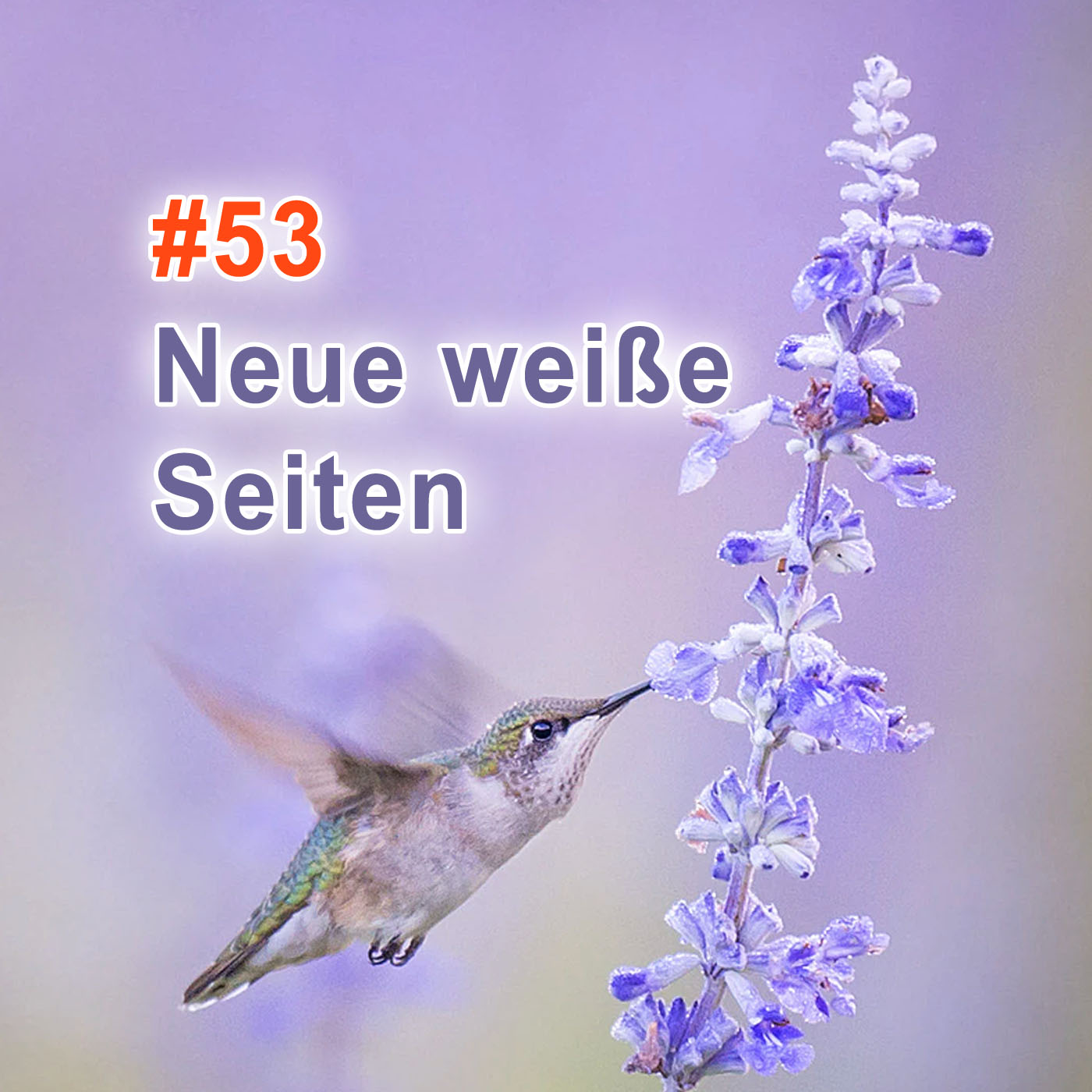 #53 | Neue weiße Seiten episode artwork