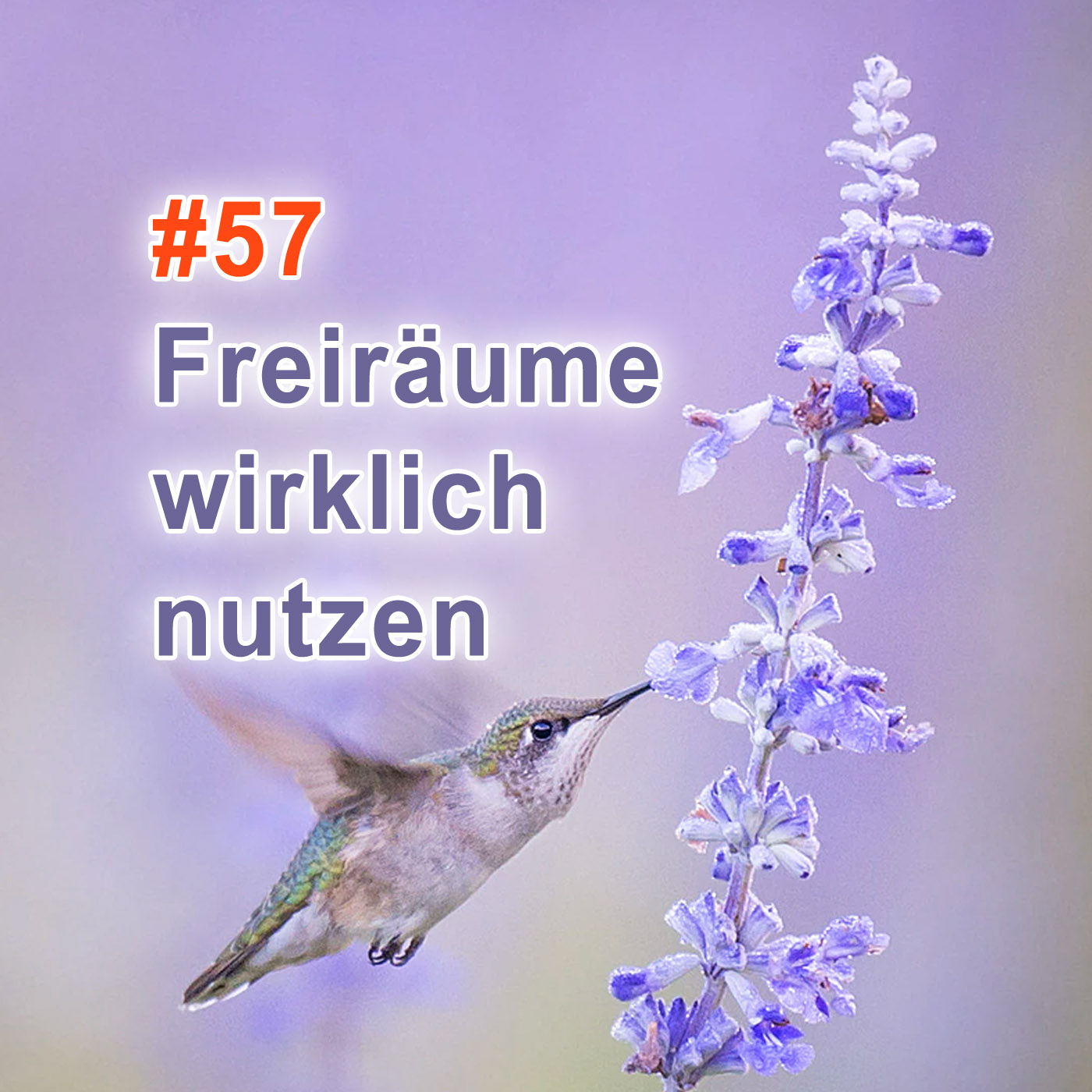 #57 | Freiräume wirklich nutzen episode artwork