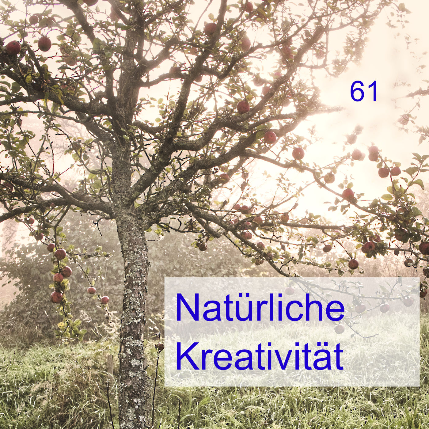 #61 | Natürliche Kreativität episode artwork