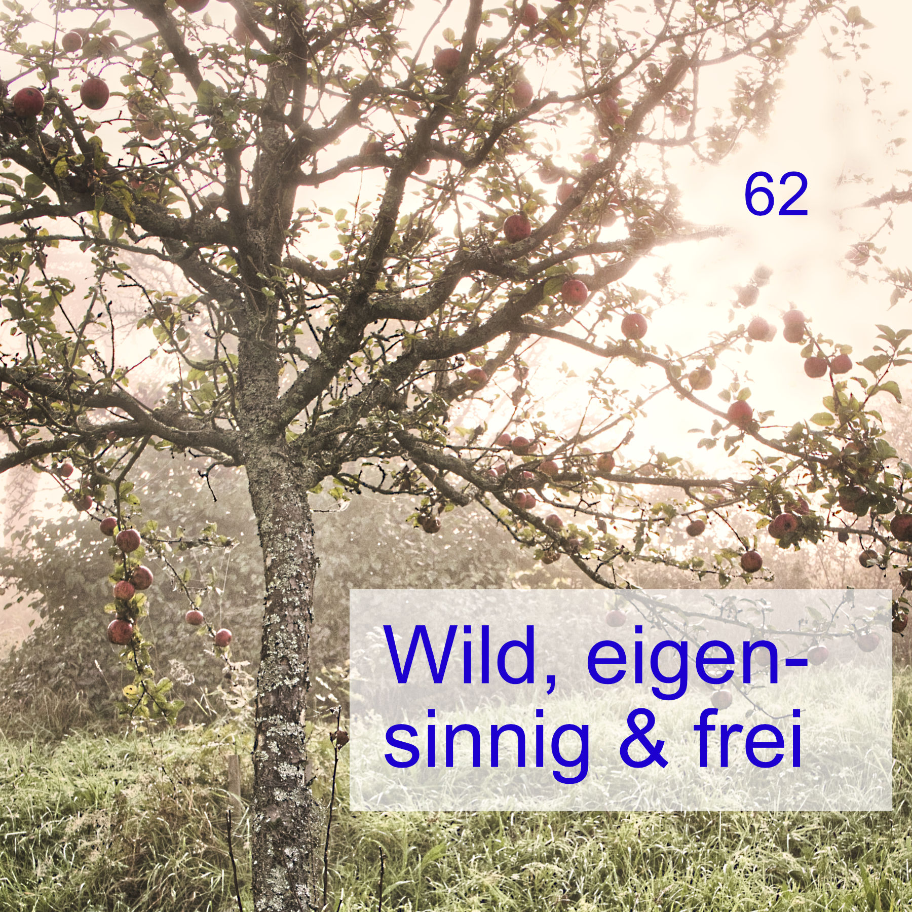 #62 | Wild, eigensinnig & frei episode artwork