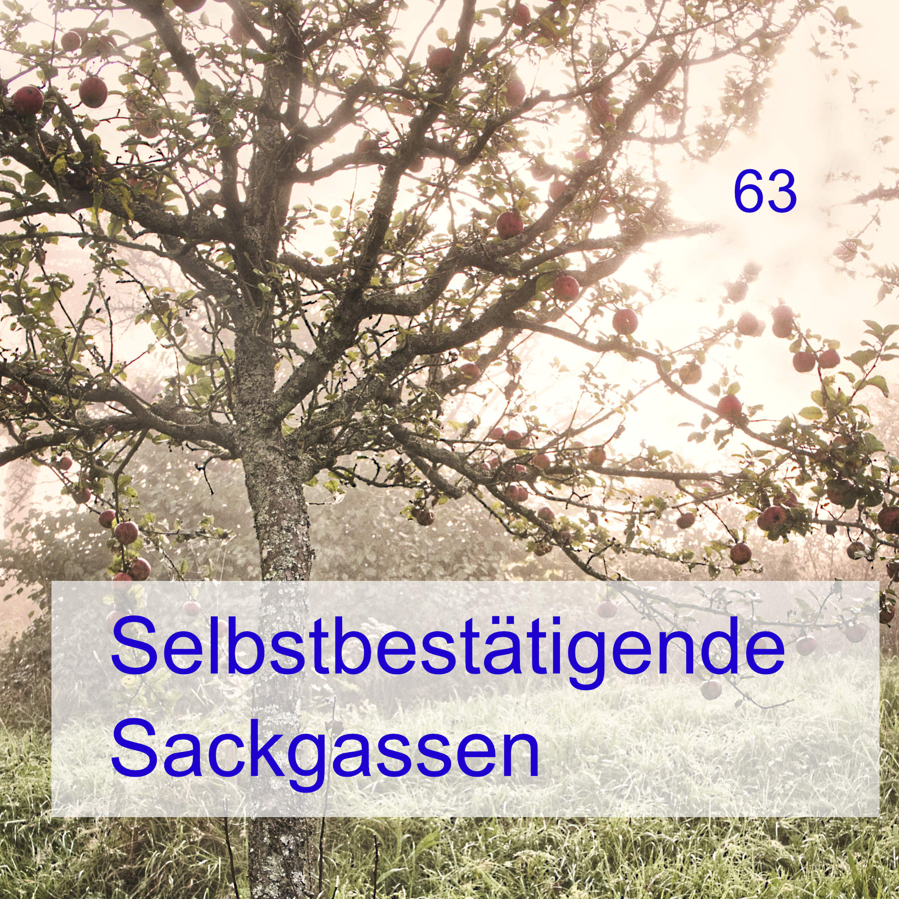 #63 | Selbstbestätigende Sackgassen episode artwork