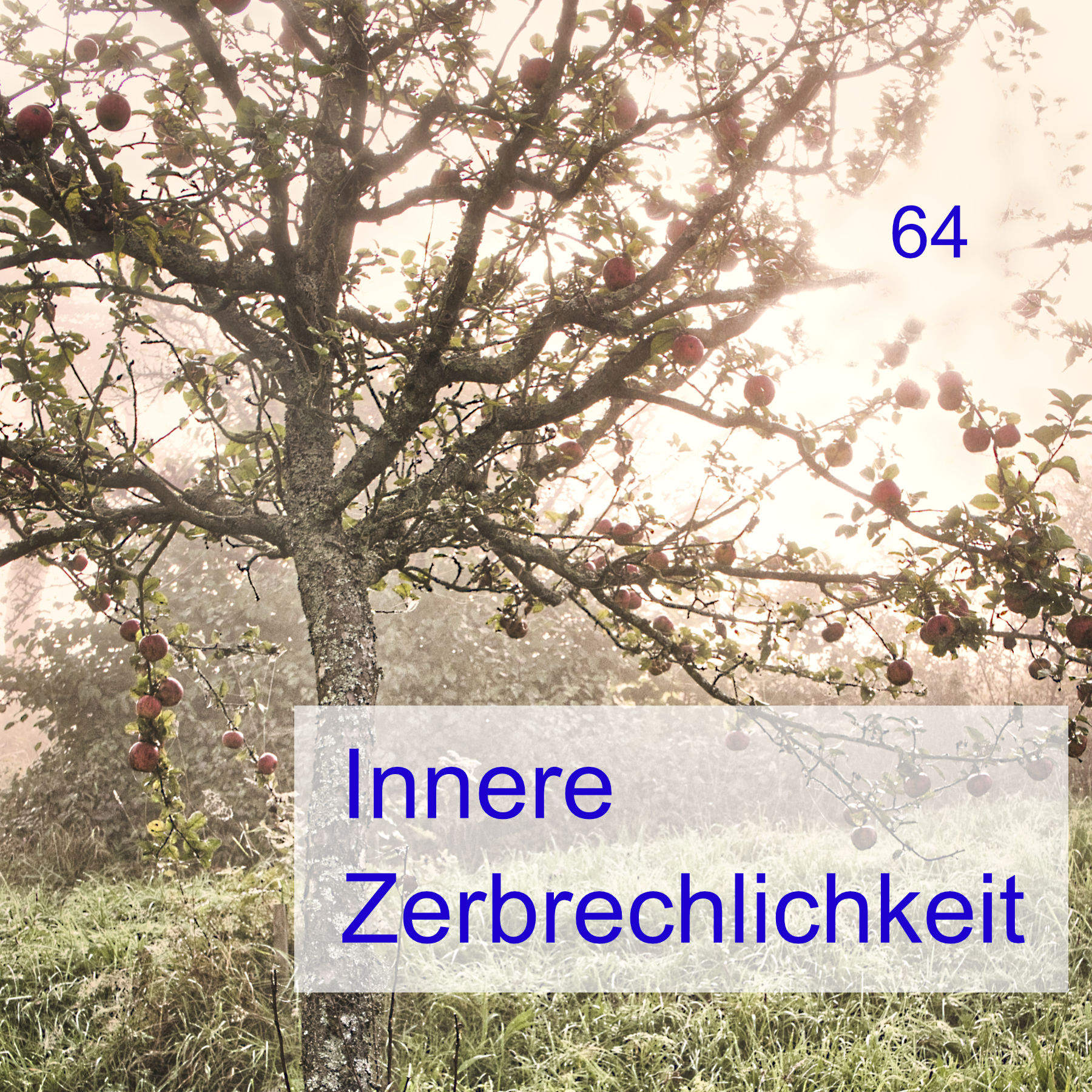 #64 | Innere Zerbrechlichkeit episode artwork