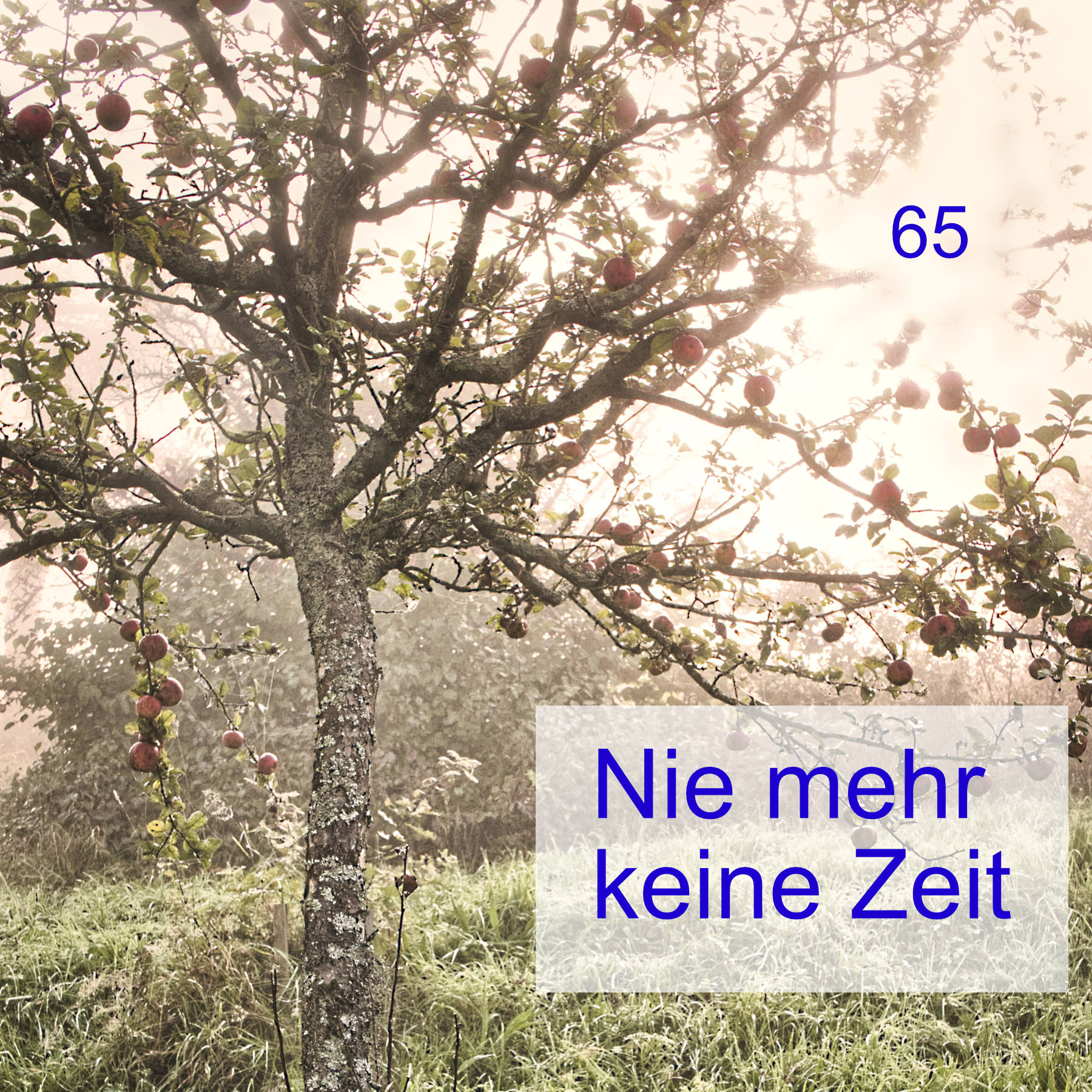 #65 | Nie mehr keine Zeit episode artwork