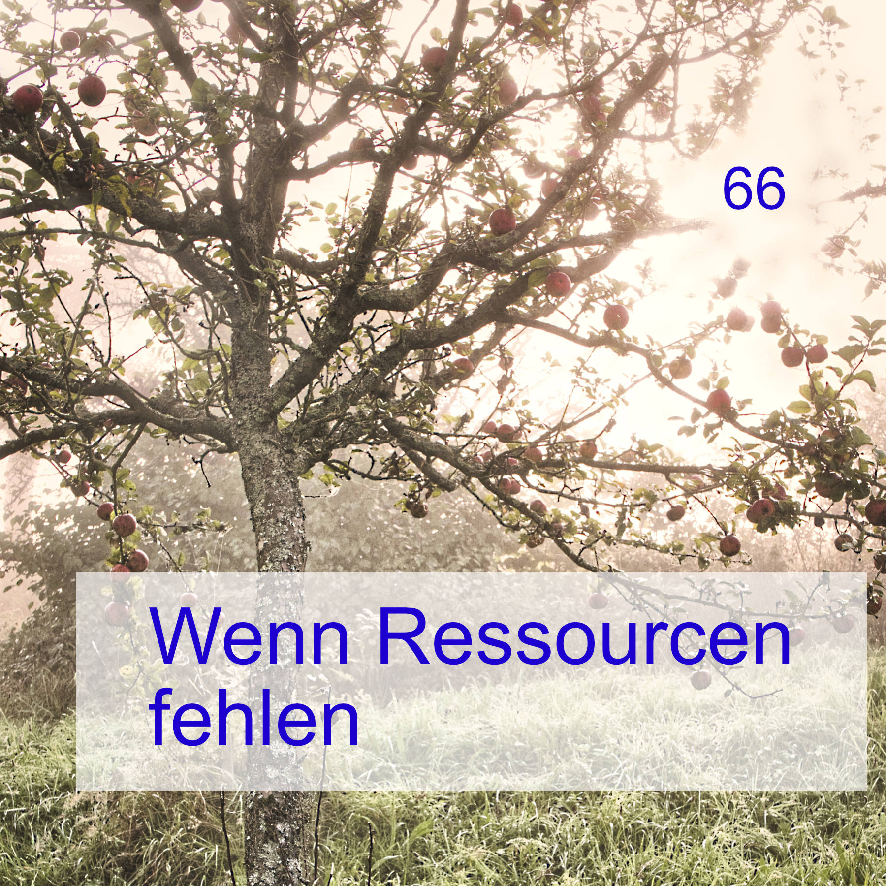 #66 | Wenn Ressourcen fehlen episode artwork
