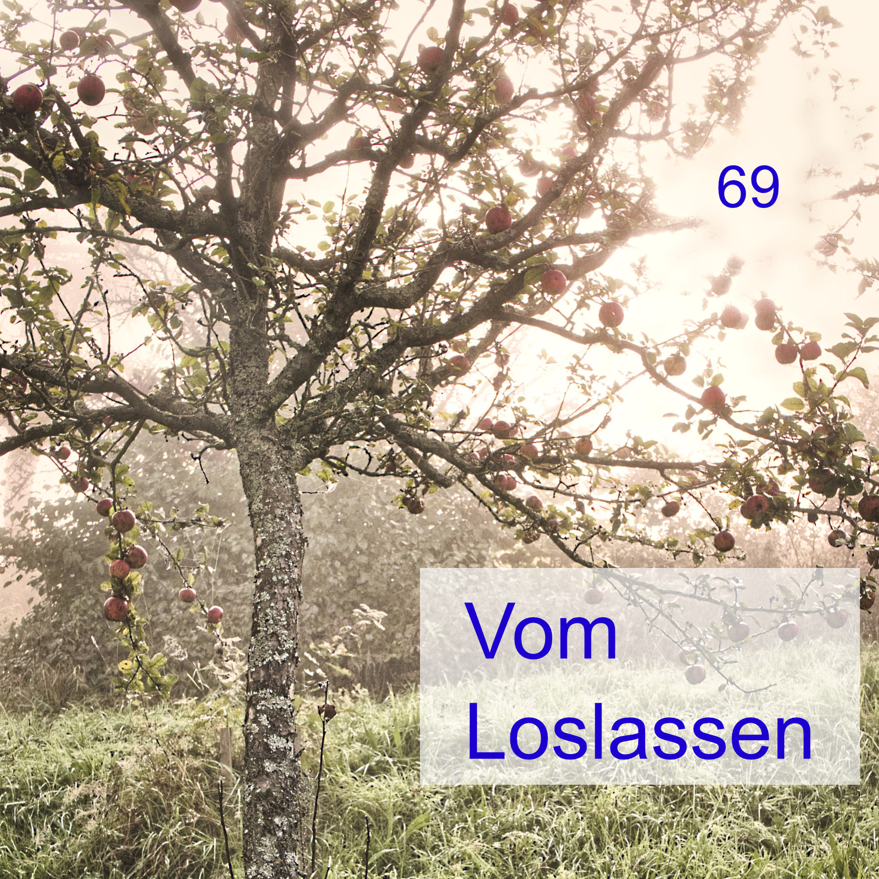#69 | Vom Loslassen episode artwork