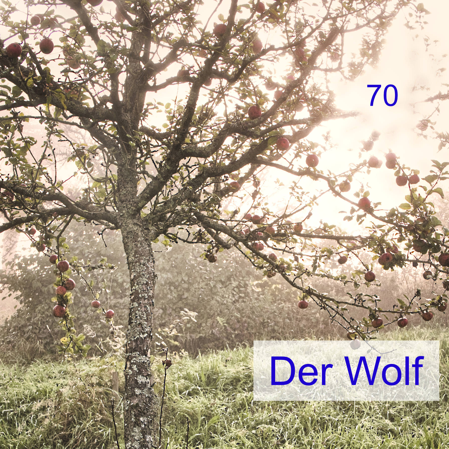 #70 | Der Wolf episode artwork