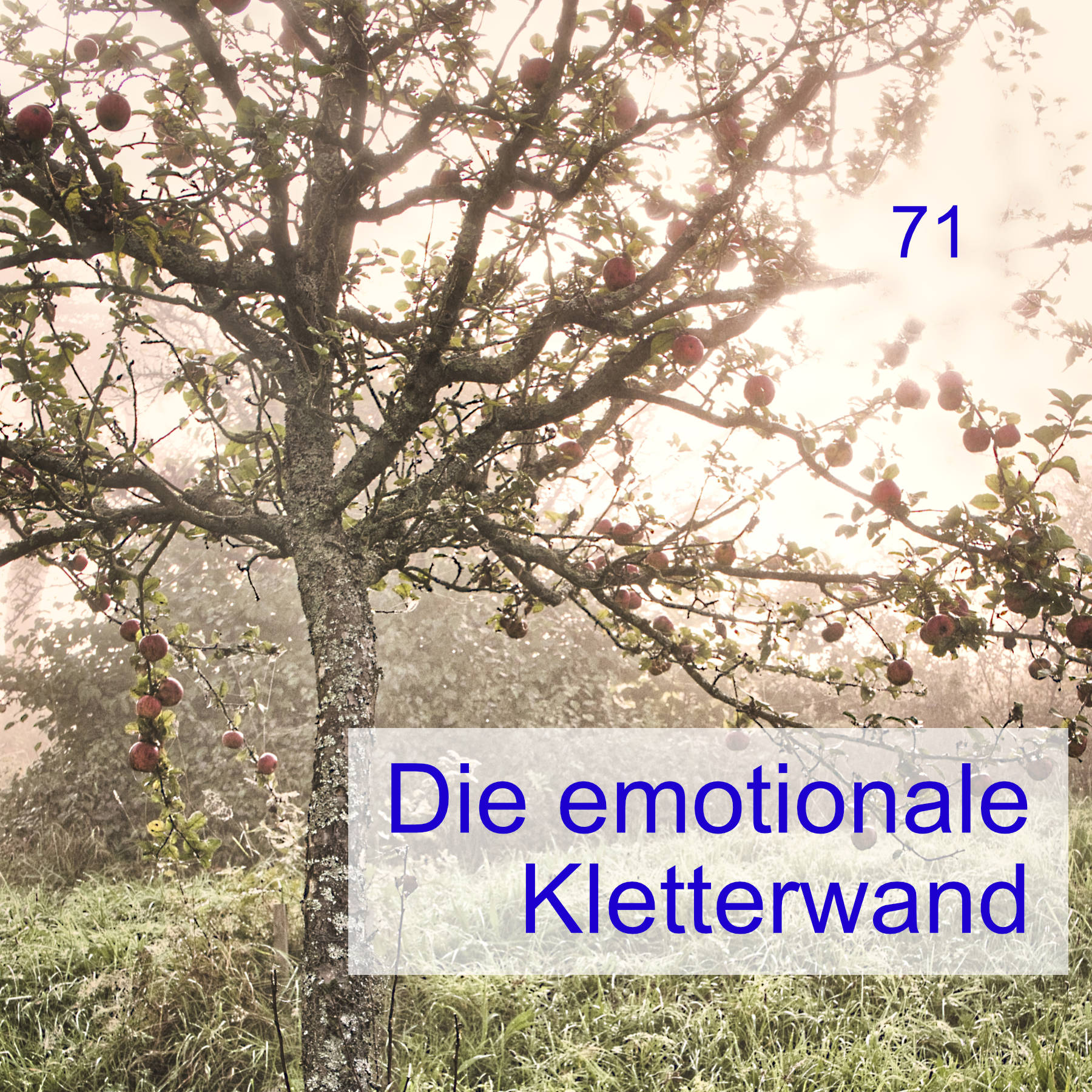 71 | Die emotionale Kletterwand episode artwork