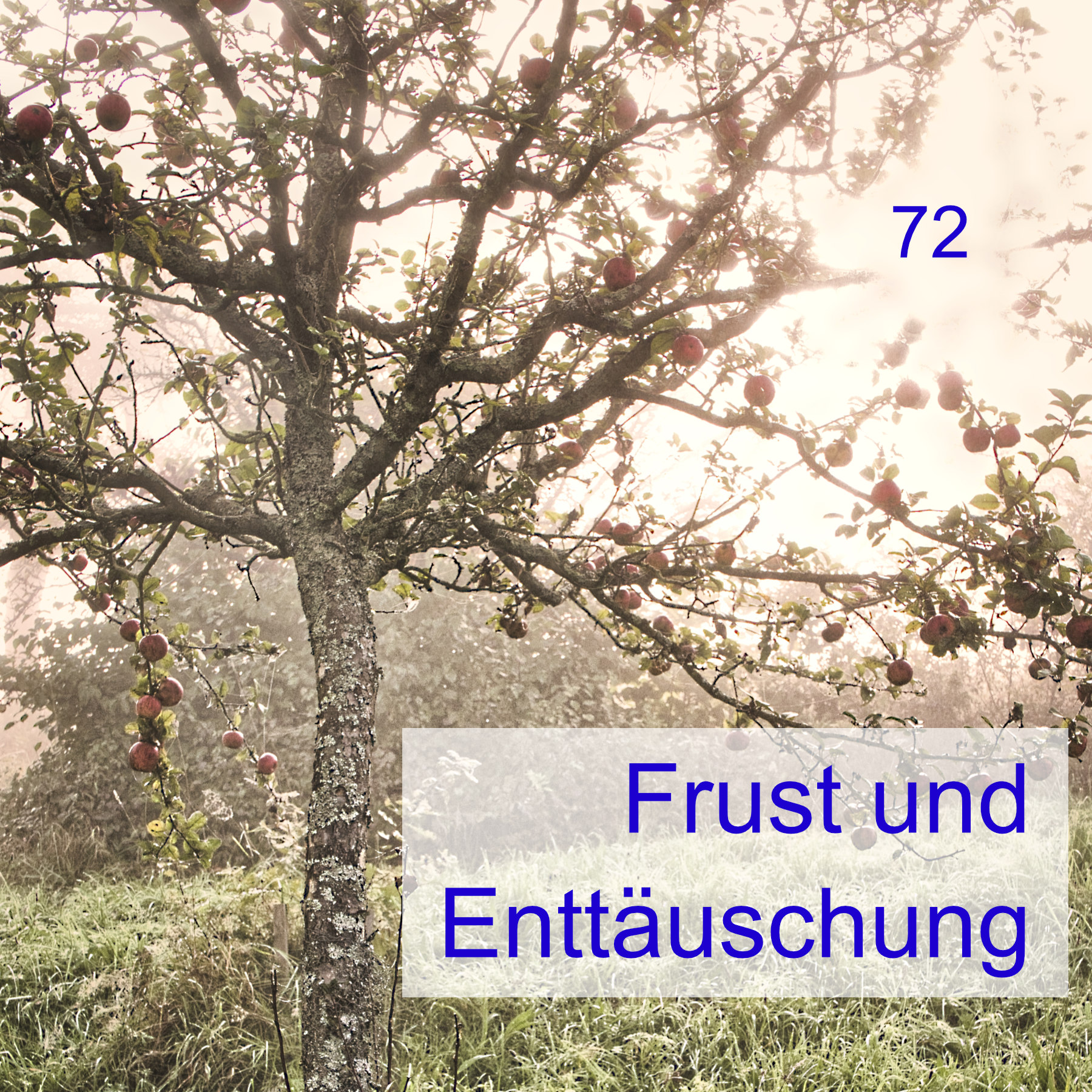 #72 | Umgang mit Frust und Enttäuschung episode artwork