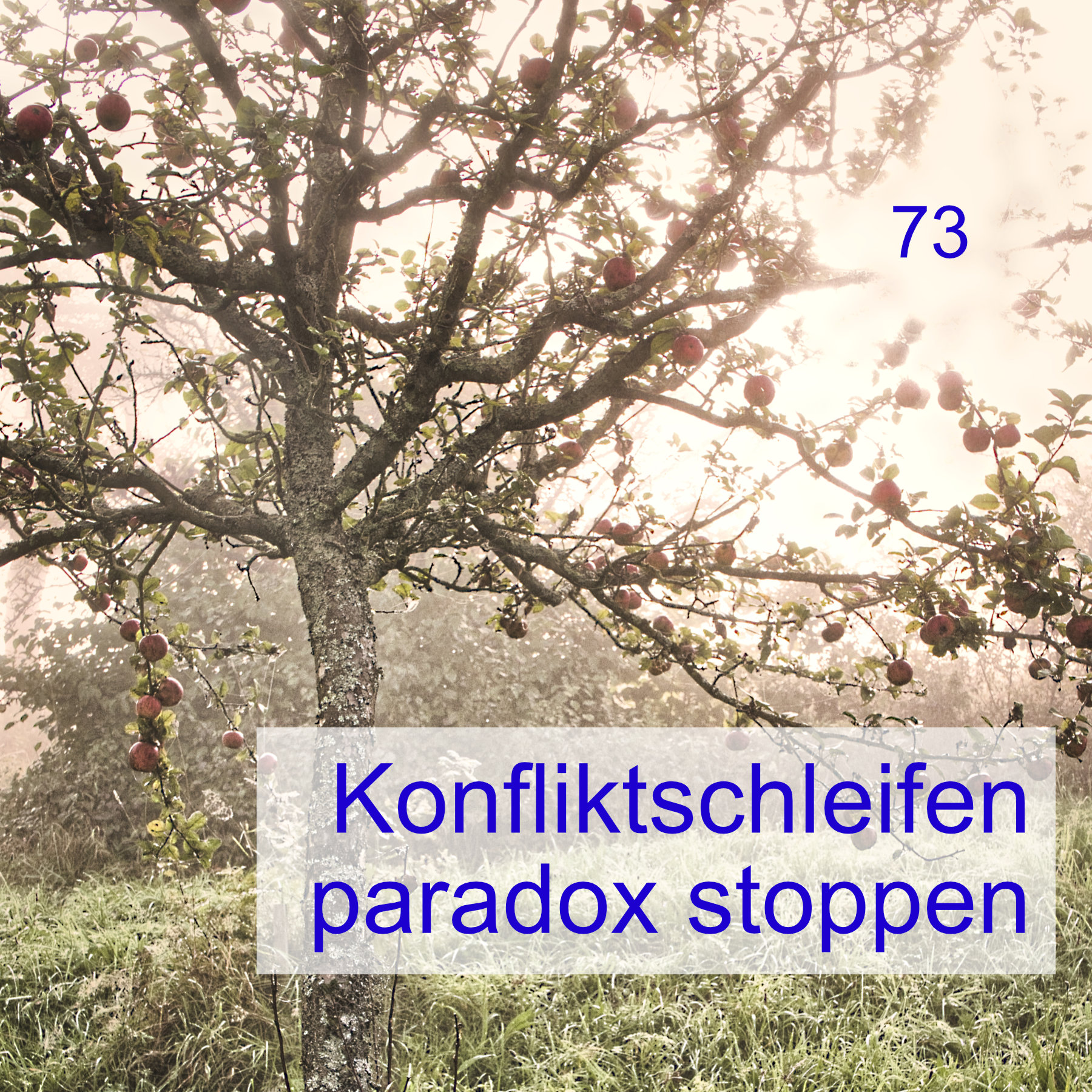 #73 | Konfliktschleifen paradox stoppen episode artwork