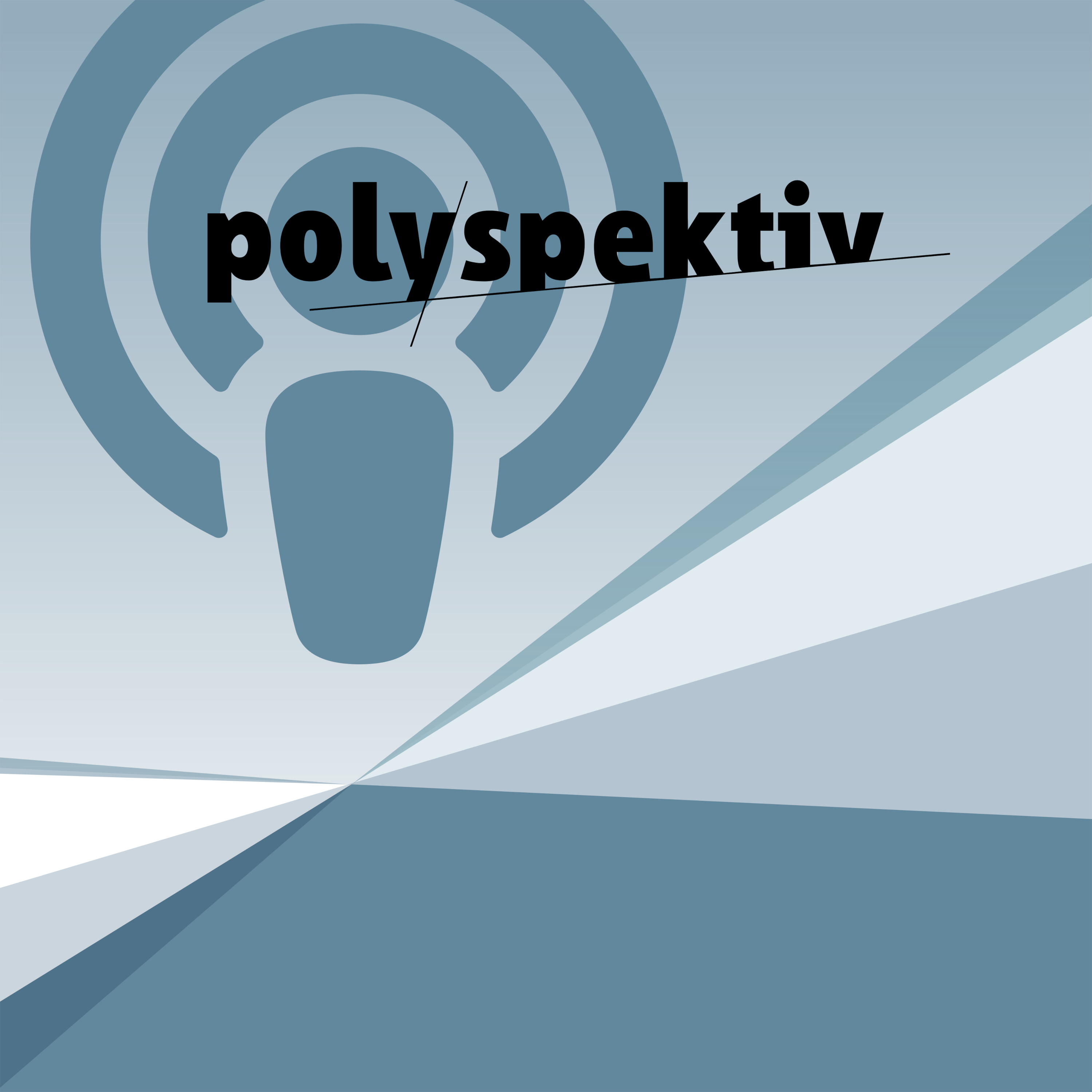 Polyspektiven – Methoden und Erfahrungen aus der politischen Bildung