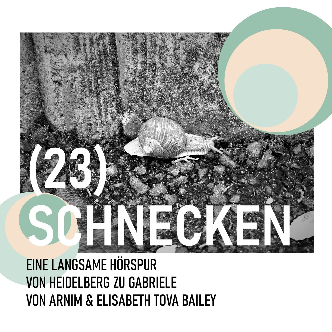 (23) SCHNECKEN episode artwork