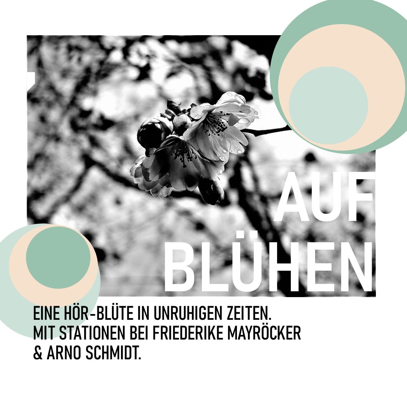(51) AUFBLÜHEN episode artwork