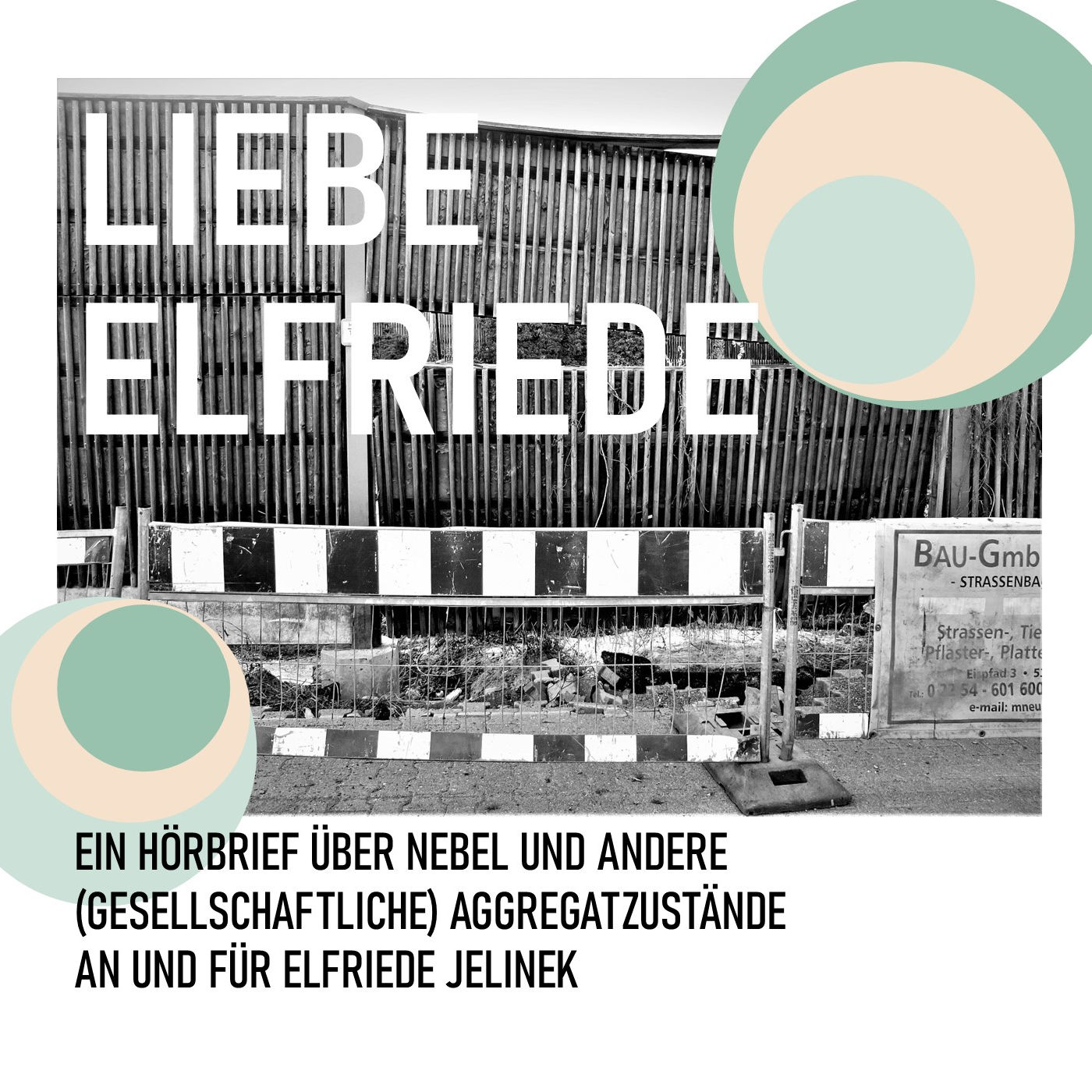 (35) LIEBE ELFRIEDE episode artwork