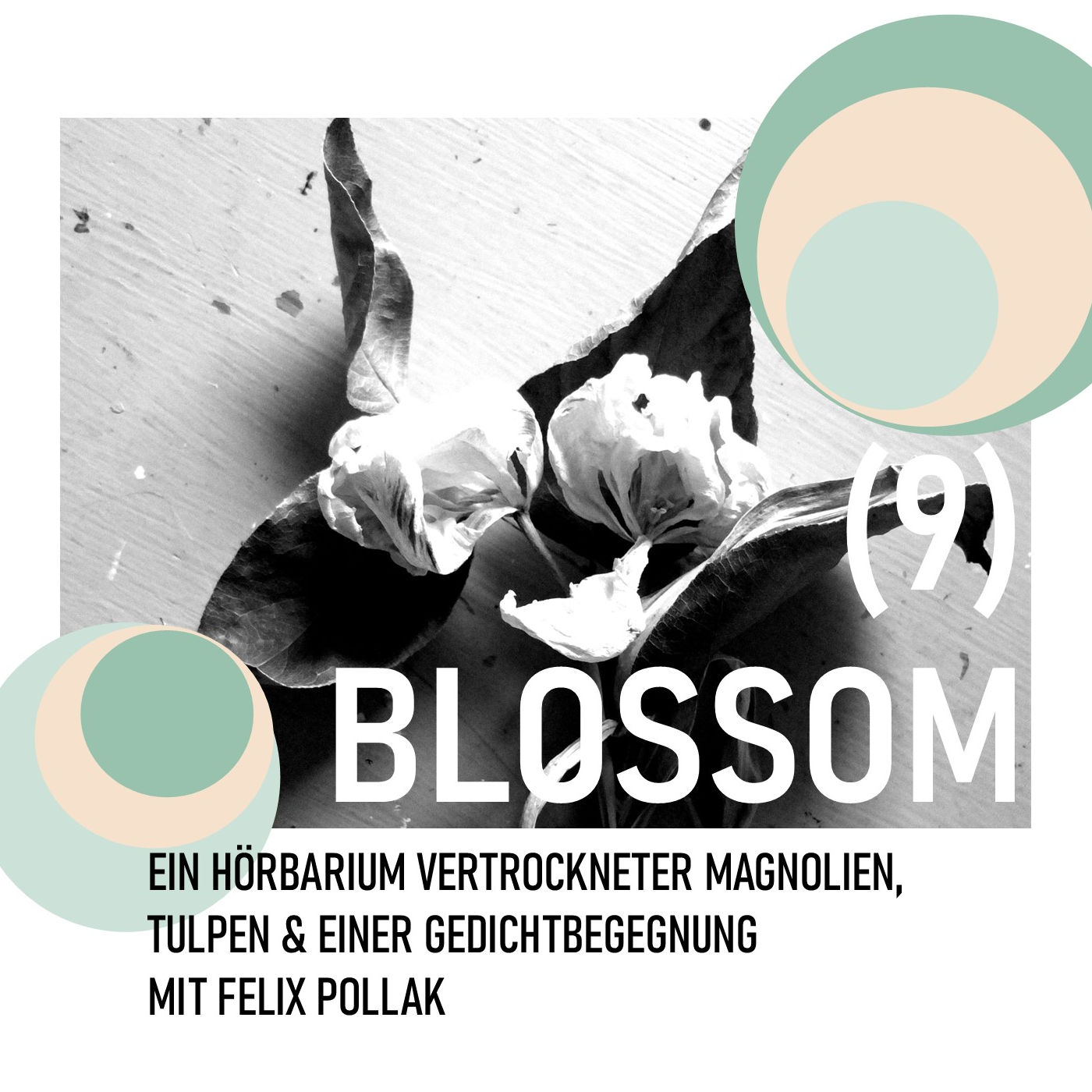 (9) BLOSSOM episode artwork