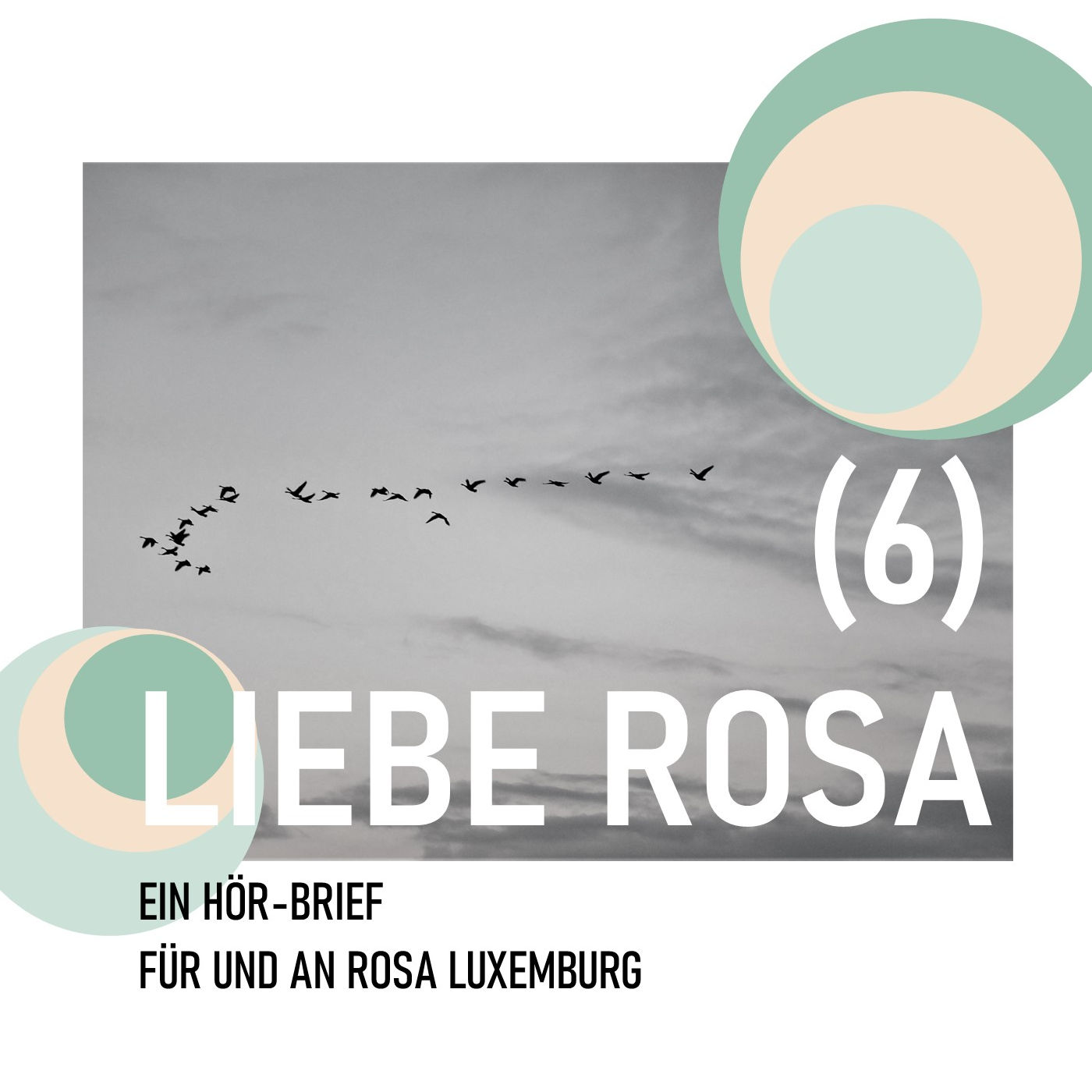 (6) LIEBE ROSA episode artwork