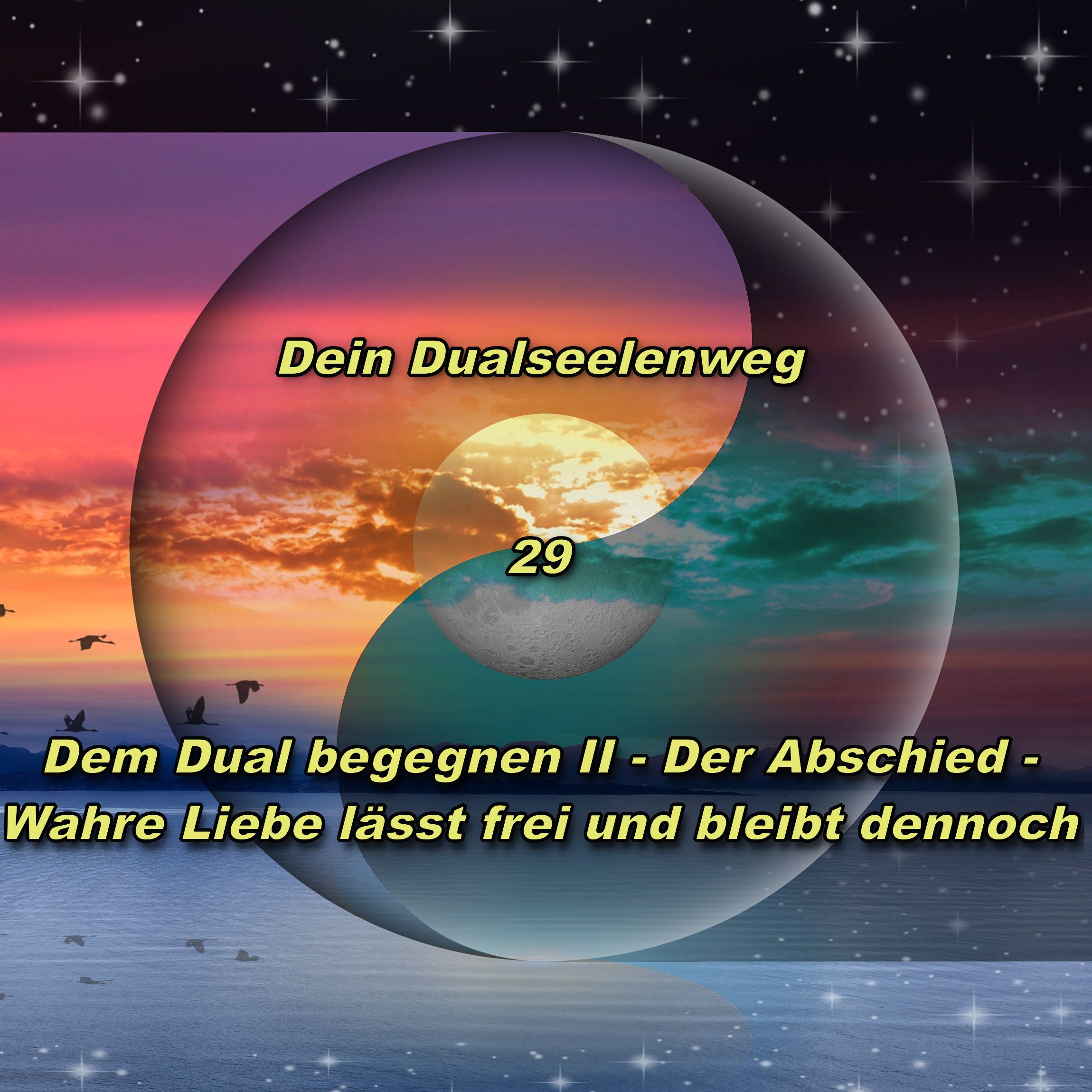 29 - Dem Dual begegnen II - Der Abschied episode artwork