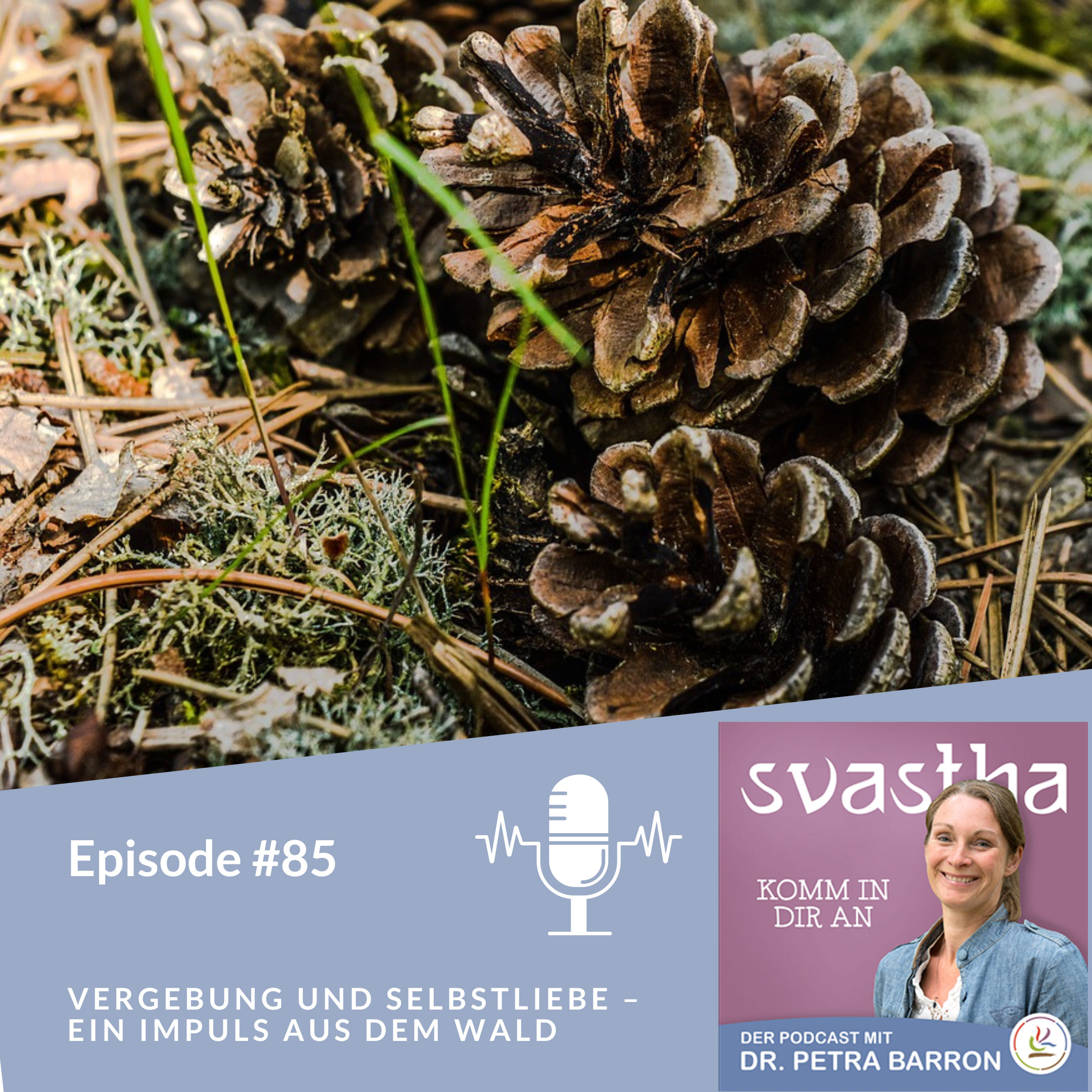 85 l Vergebung und Selbstliebe – ein Impuls aus dem Wald episode artwork