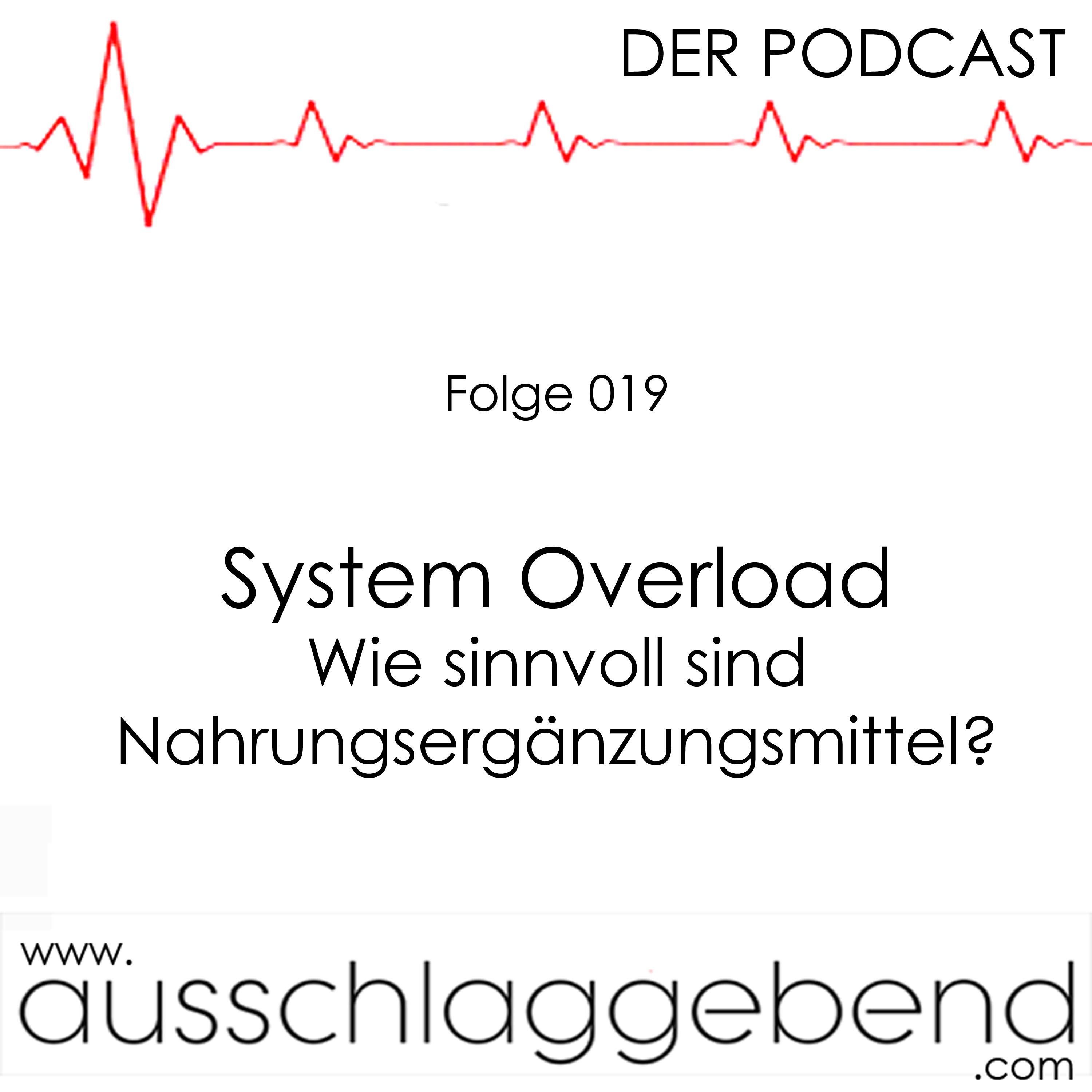 Folge 019 - System Overload episode artwork