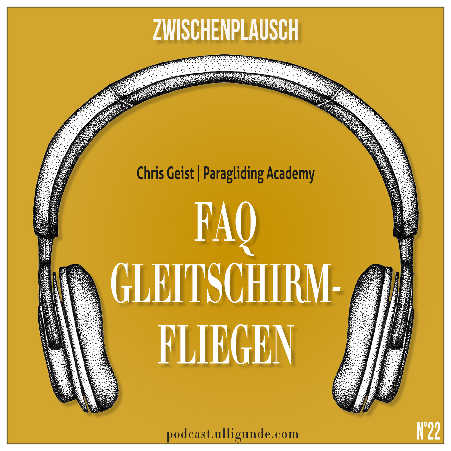 Ep22: FAQ Gleitschirmfliegen [Zwischenplausch Chris Geist | Paragliding Academy] episode artwork