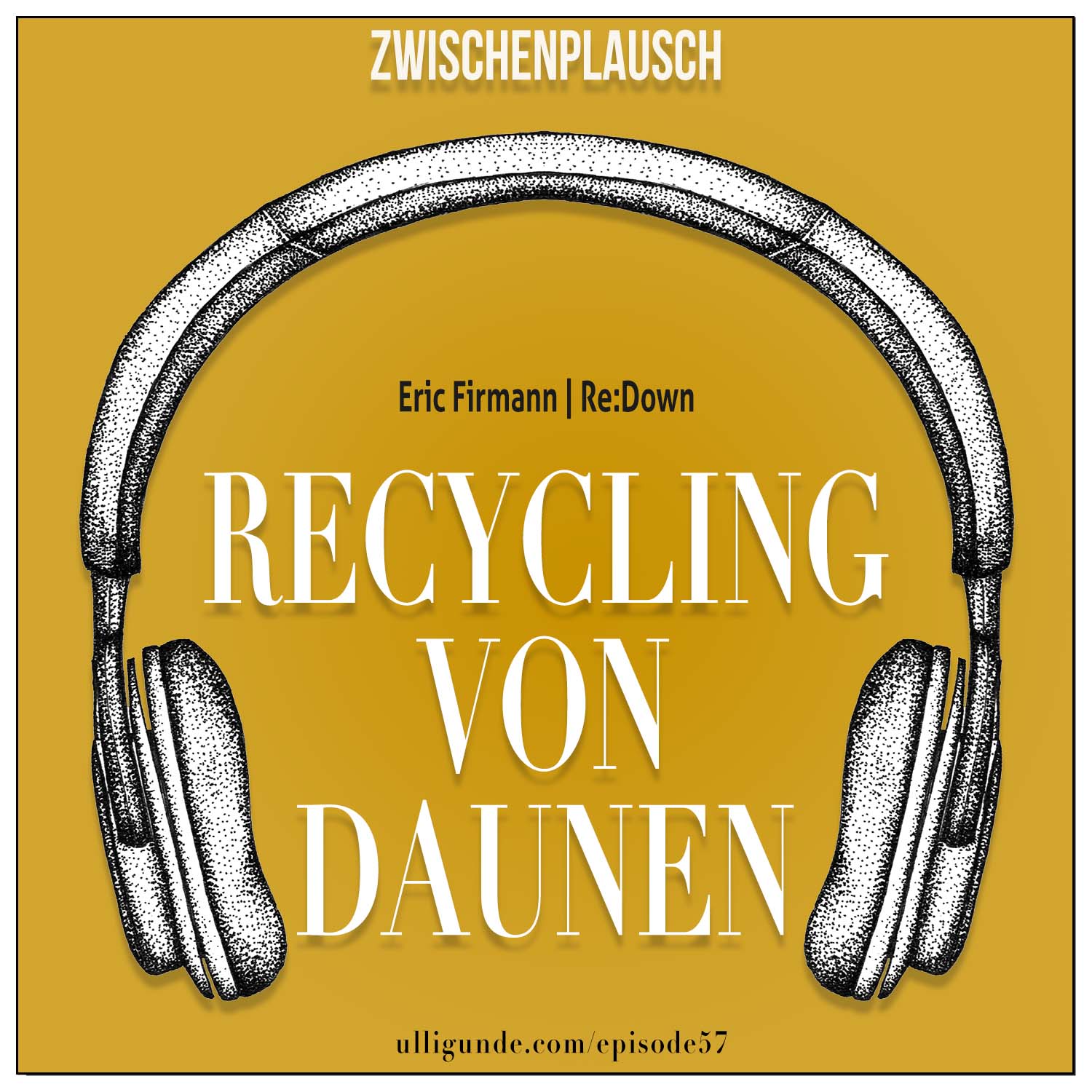ZP57: Recycling von Daunenprodukten (Eric Firmann / Re:Down) episode artwork