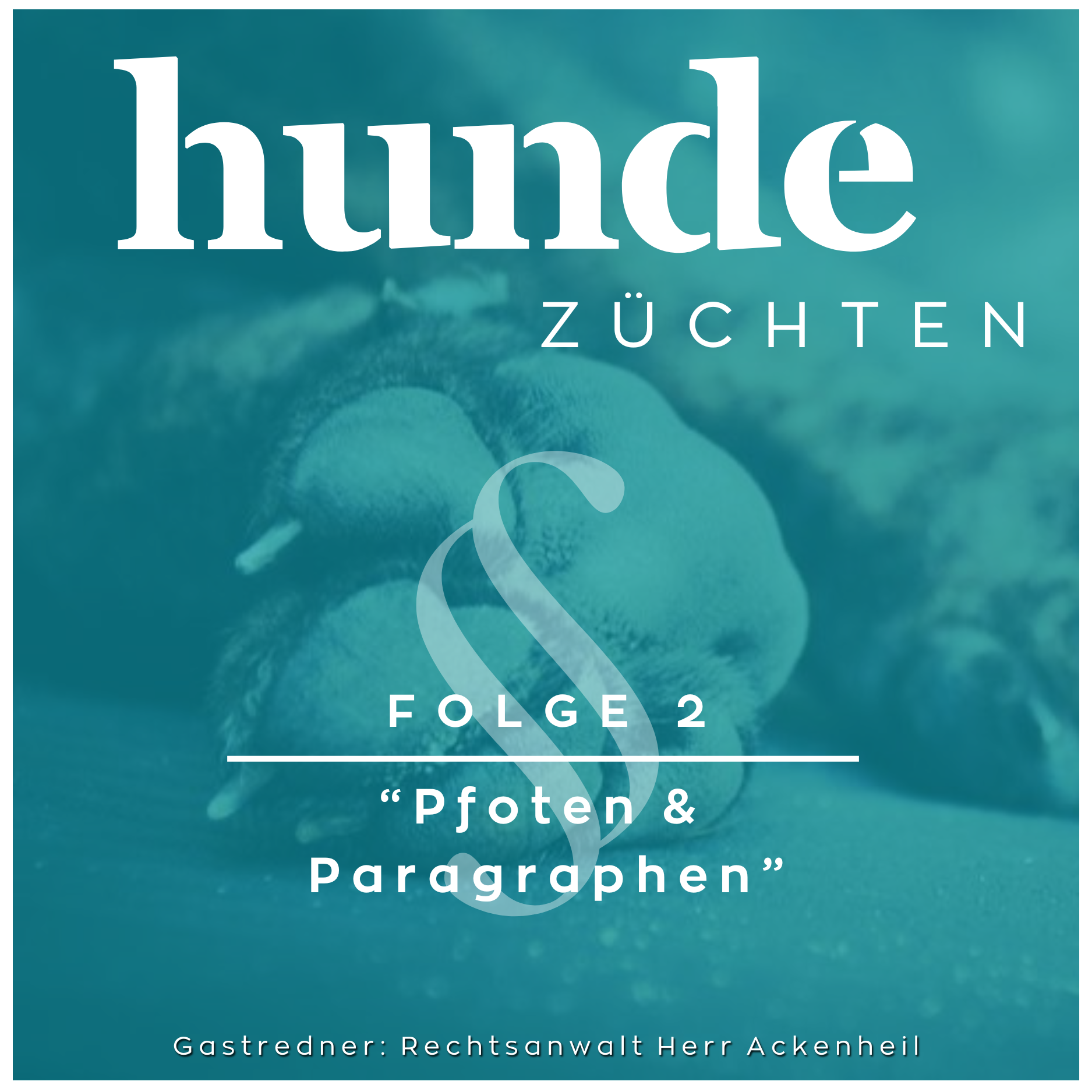#2 - Pfoten und Paragraphen episode artwork