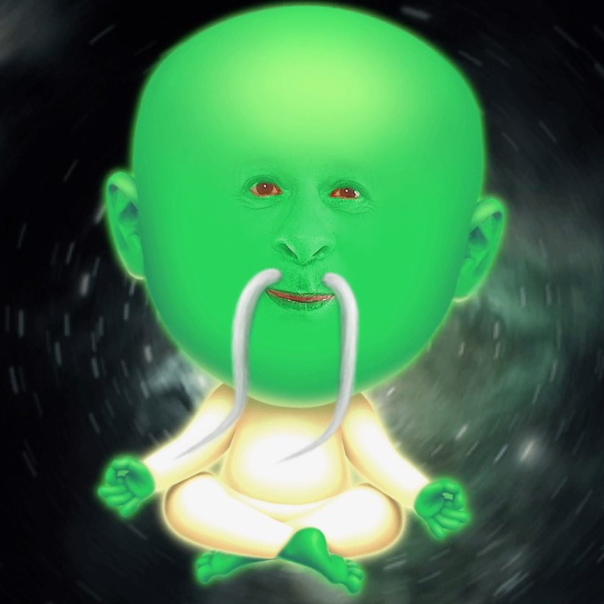 Fitziputzi erzählt - Herr Holle episode artwork