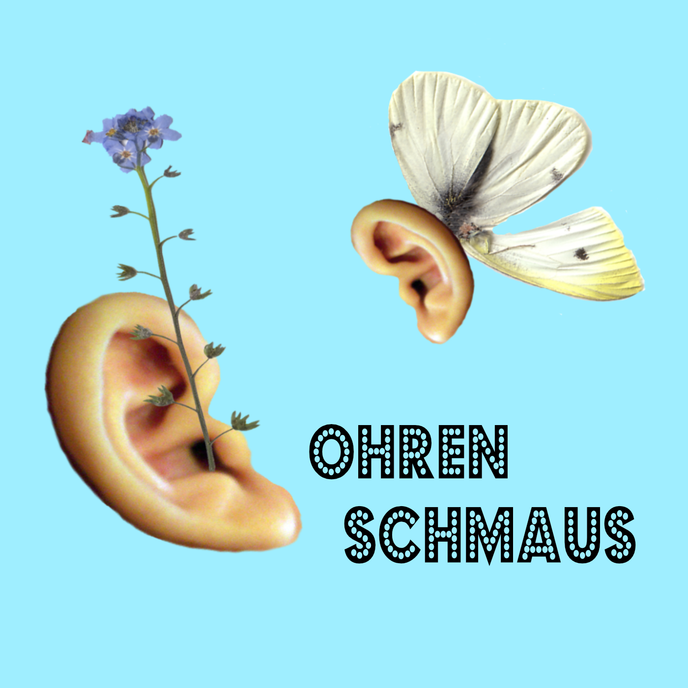 Dumme Schüler episode artwork