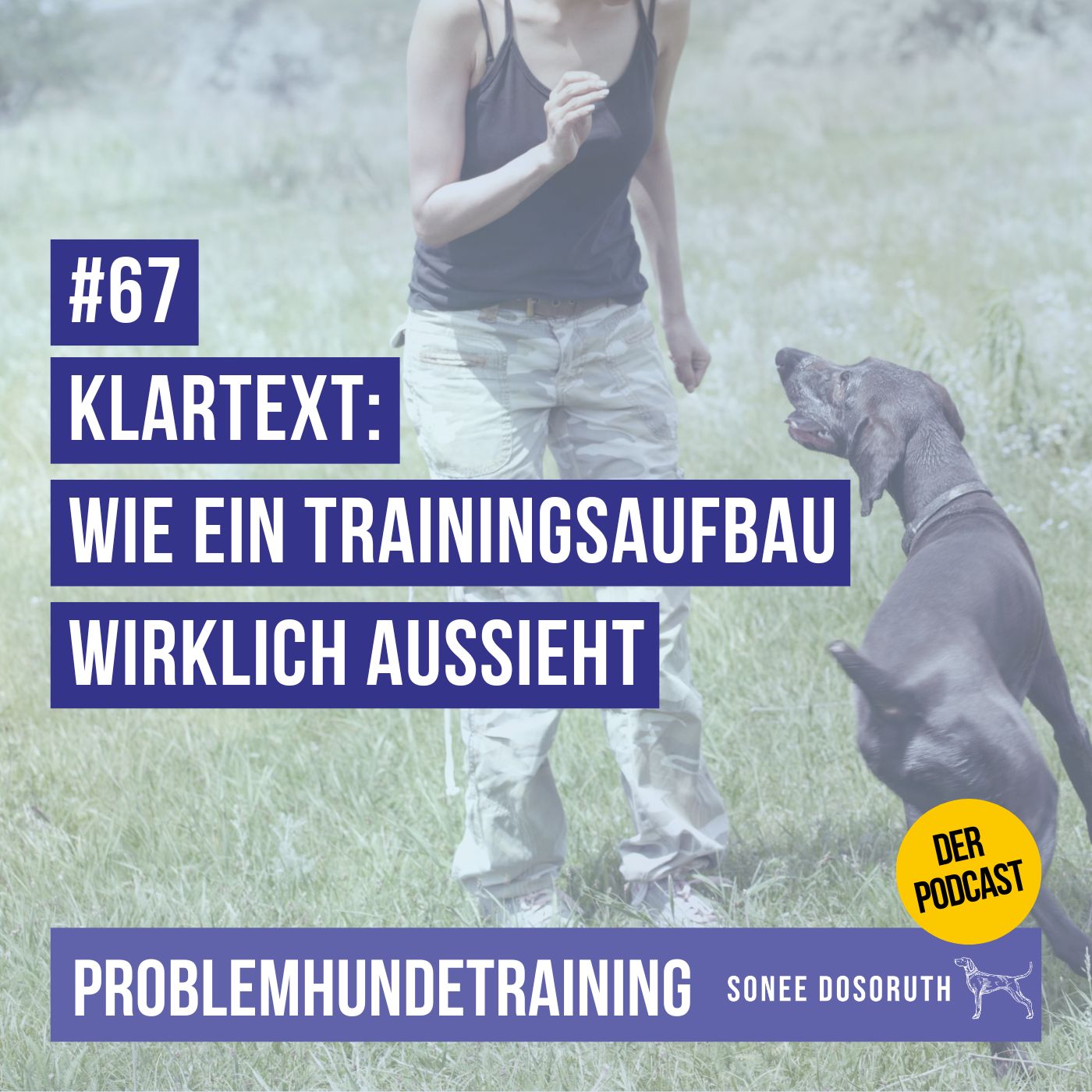 Klartext: Wie ein Trainingsaufbau wirklich aussieht?