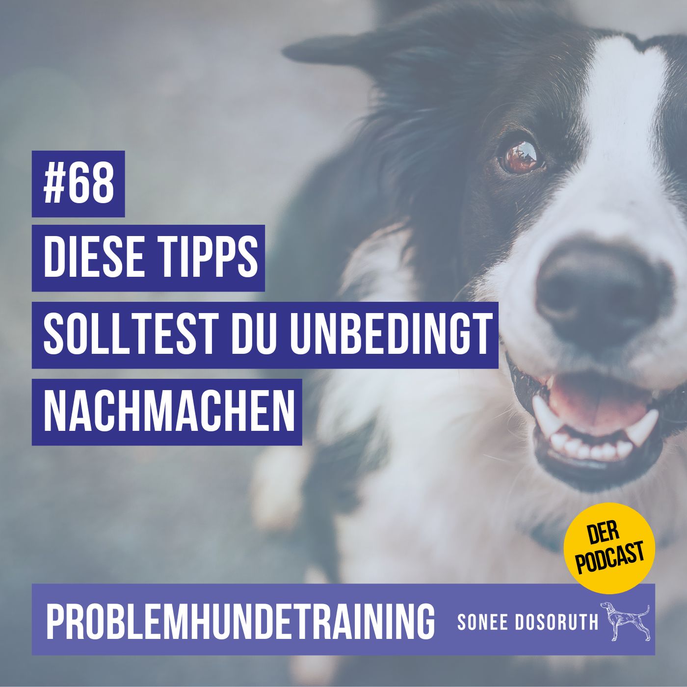 Diese Tipps solltest du unbedingt nachmachen
