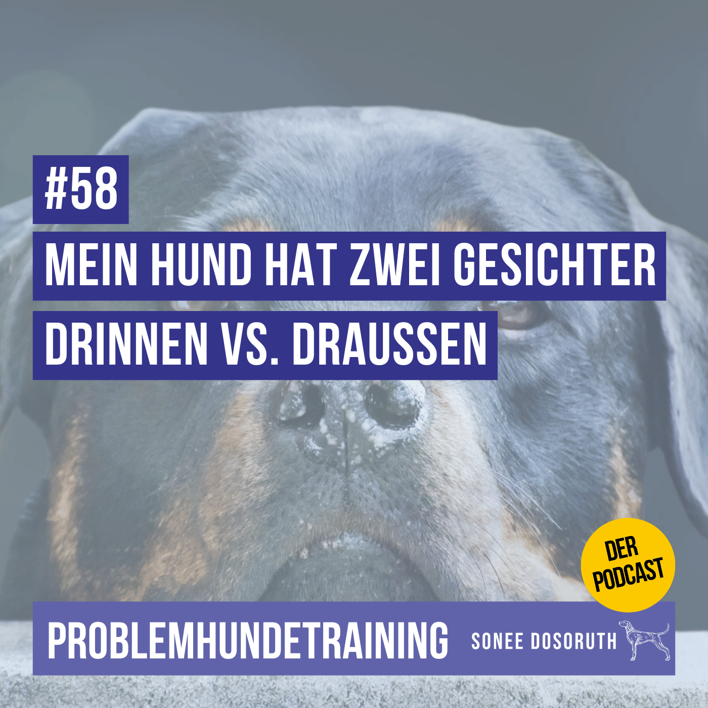 Mein Hund hat zwei Gesichter: Drinnen vs. Draussen
