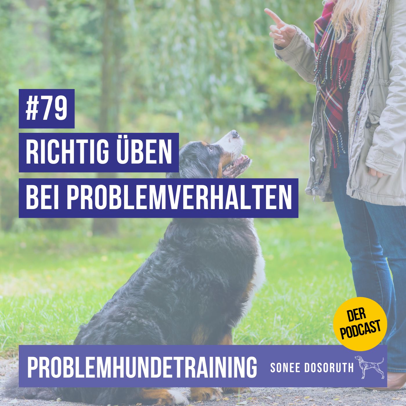Richtig üben bei Problemverhalten