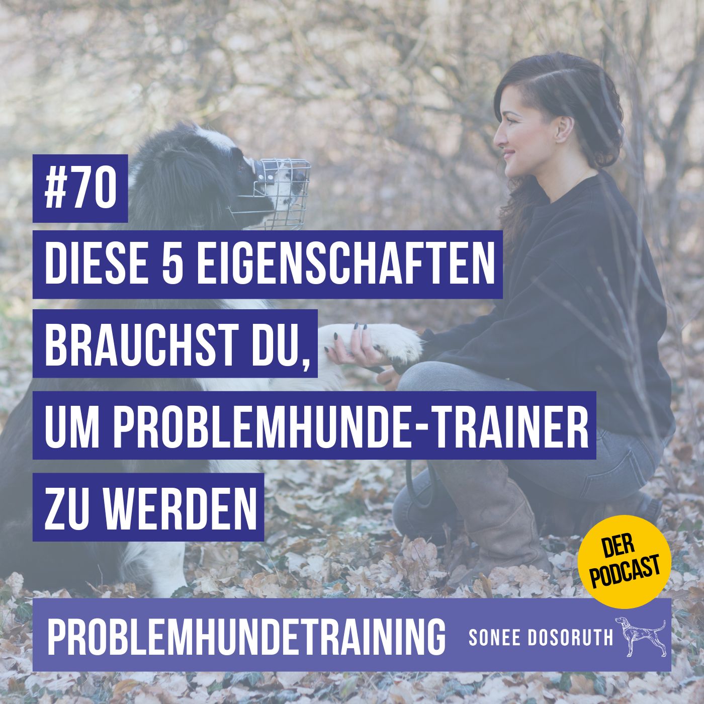Diese 5 Eigenschaften brauchst du, um Problemhunde-Trainer zu werden