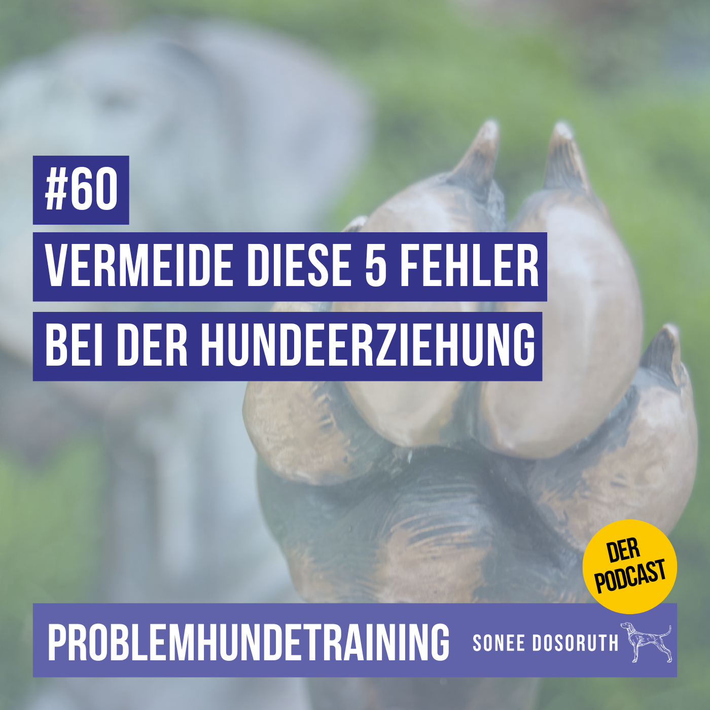 Vermeide diese 5 Fehler bei der Hundeerziehung