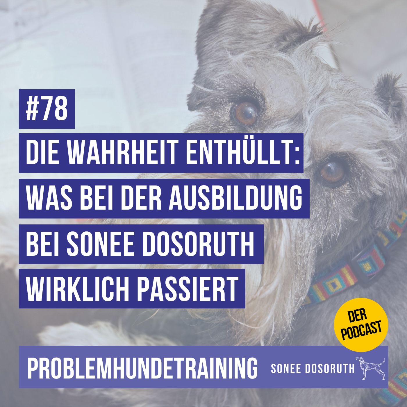 Die Wahrheit enthüllt: Was bei der Hundetrainerausbildung bei Sonee Dosoruth wirklich passiert