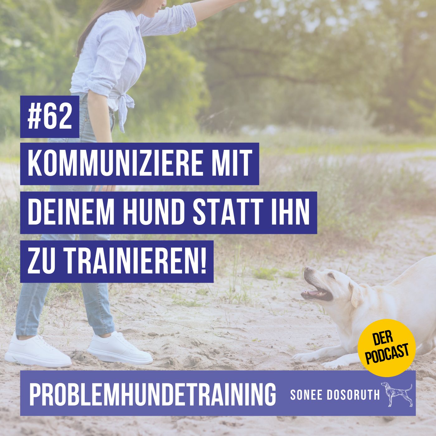 Kommuniziere mit deinem Hund statt ihn zu trainieren!
